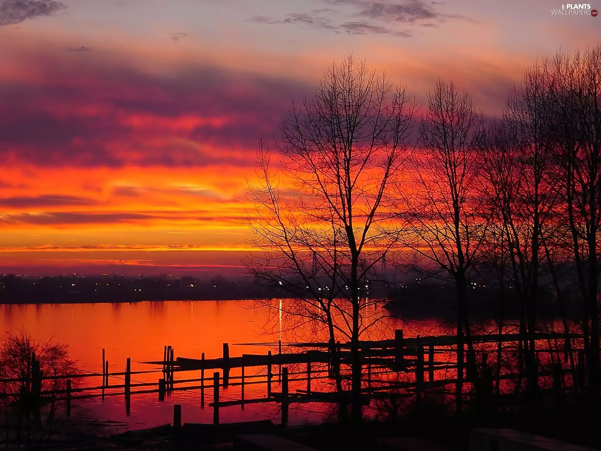 Great Sunsets, viewes, lake, trees