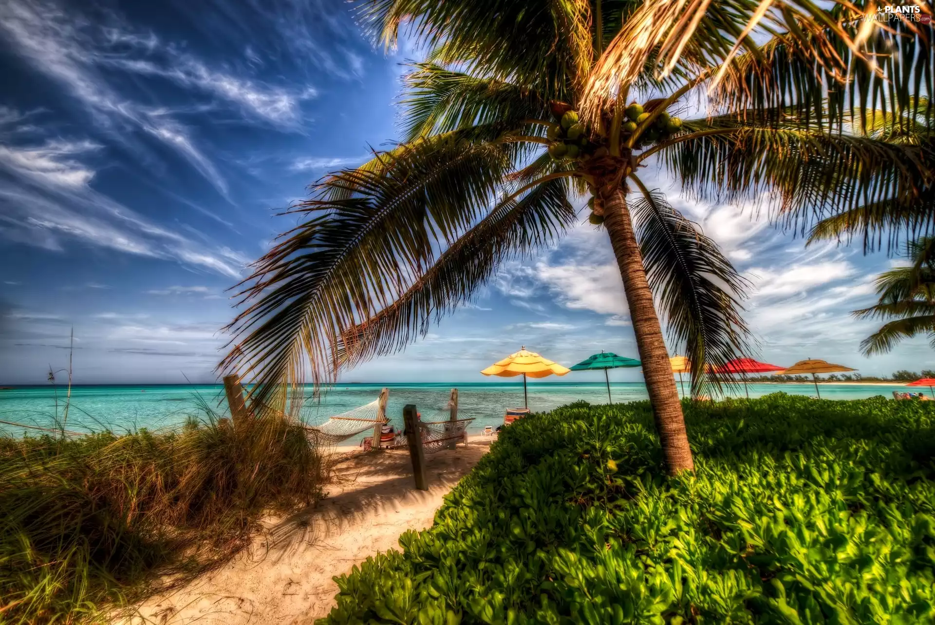 Ocean, Palms, holiday, Sunshade, Beaches, Tropical, HDR
