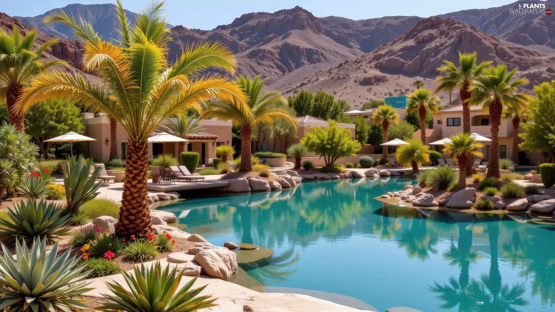 Palms, Flowers, Mountains, Plants, Stones, Pool, Houses, Sunshade