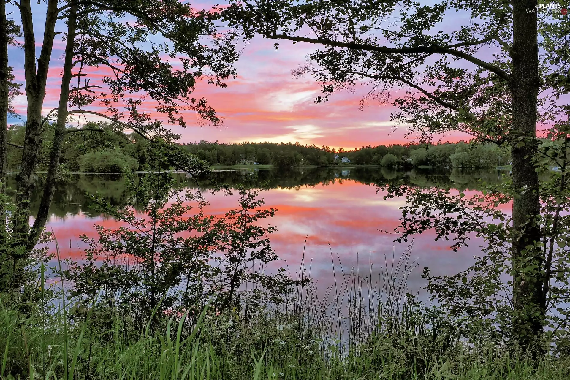 Nacka, Sweden, forest, dawn, lake