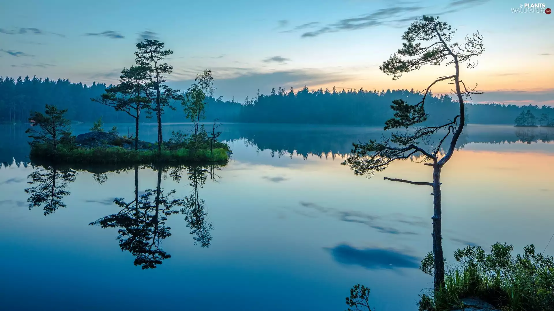 Sweden, lake, trees, Tyresta National Park, Sunrise, Islet, viewes