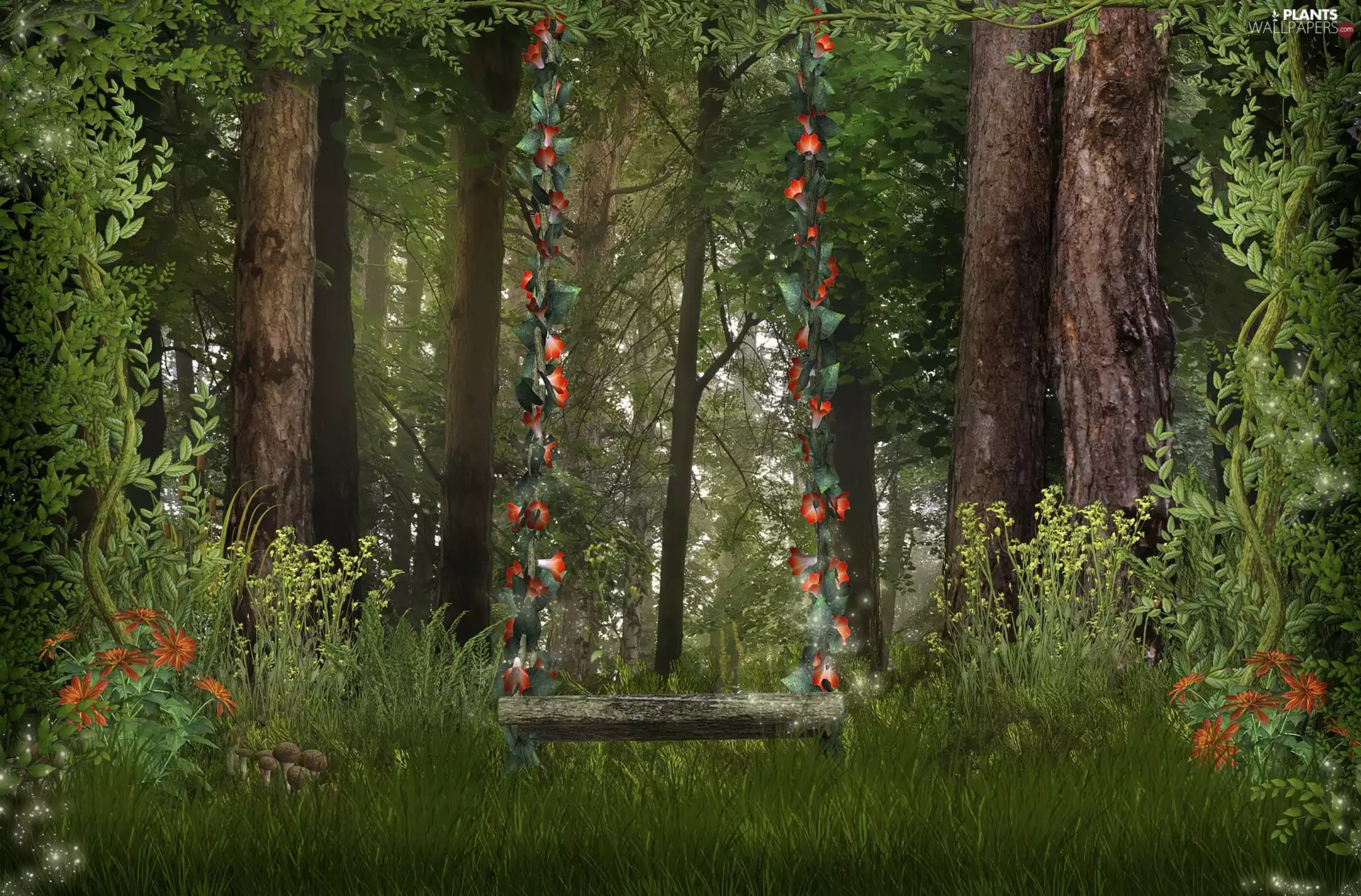 viewes, Swing, forest, trees, graphics