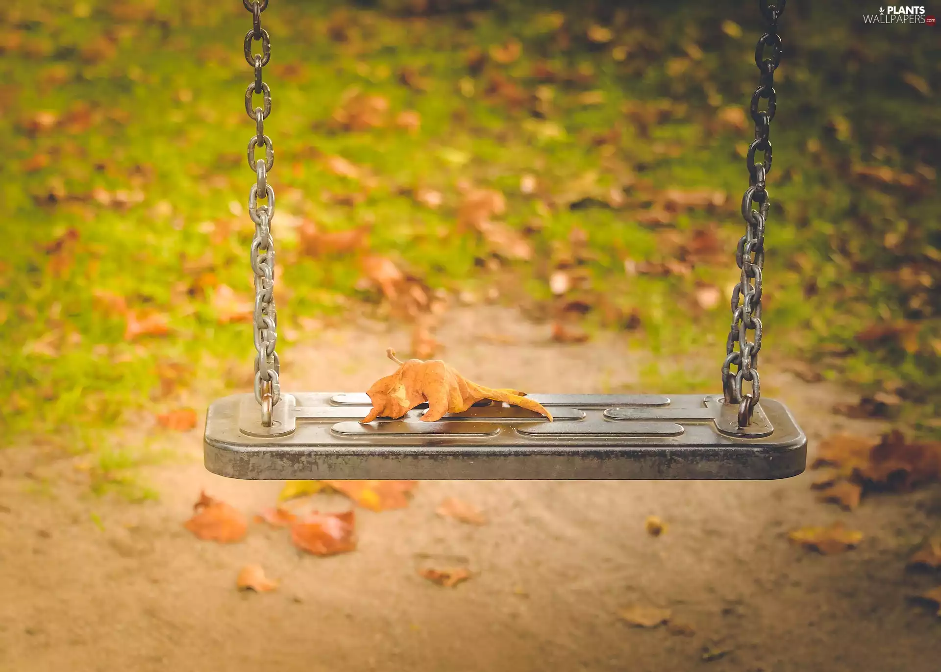 Swing, leaf