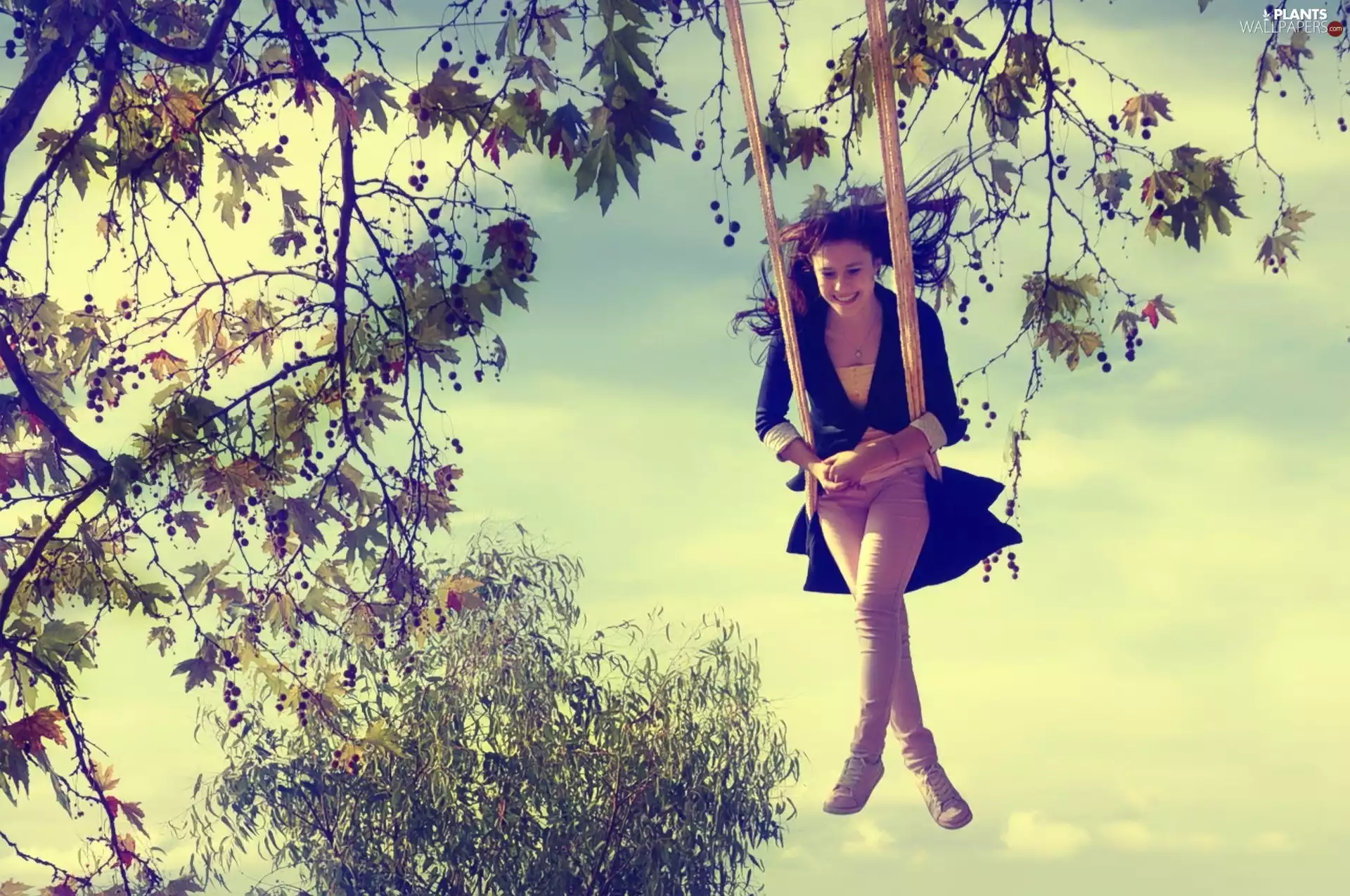 branch pics, Sky, Swing, trees, Women