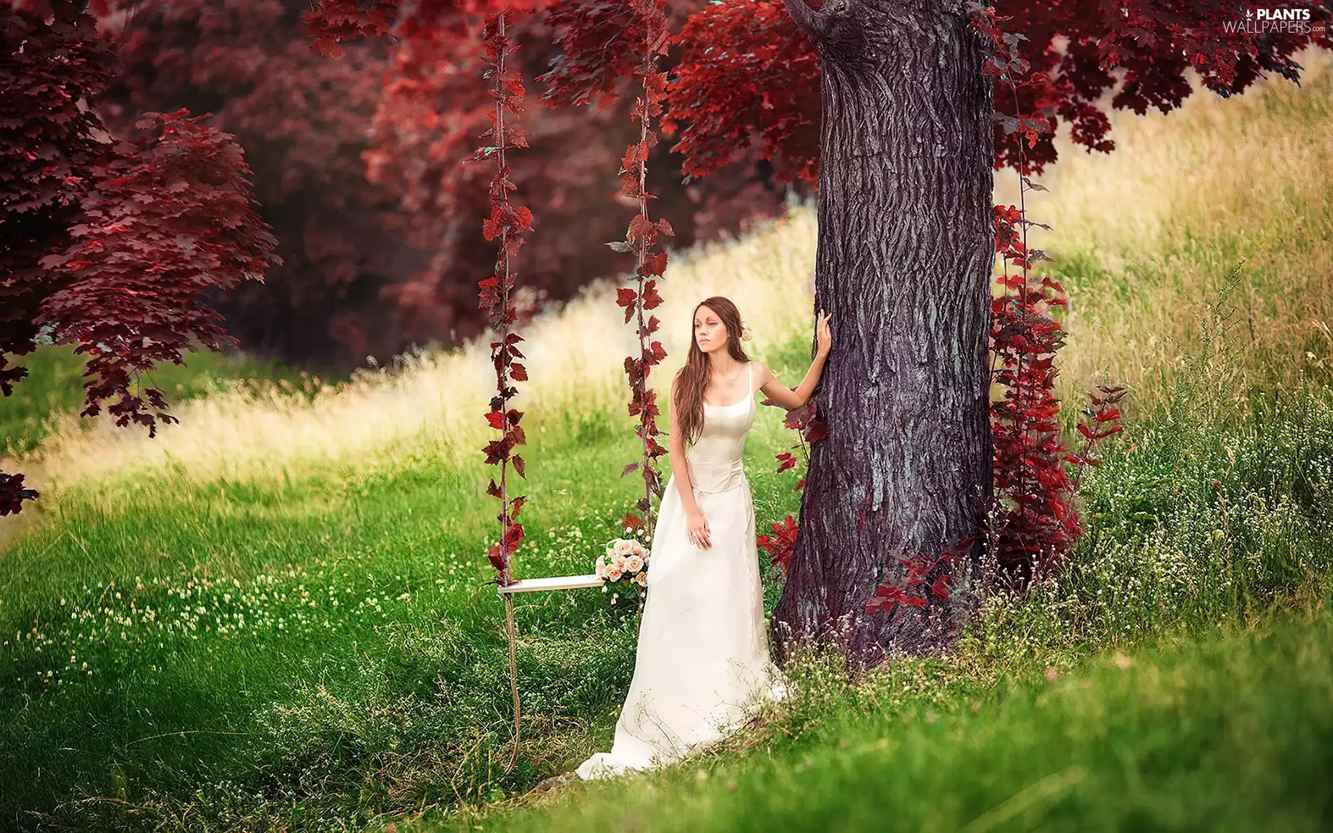 trees, lady, Leaf, Swing, Red, young