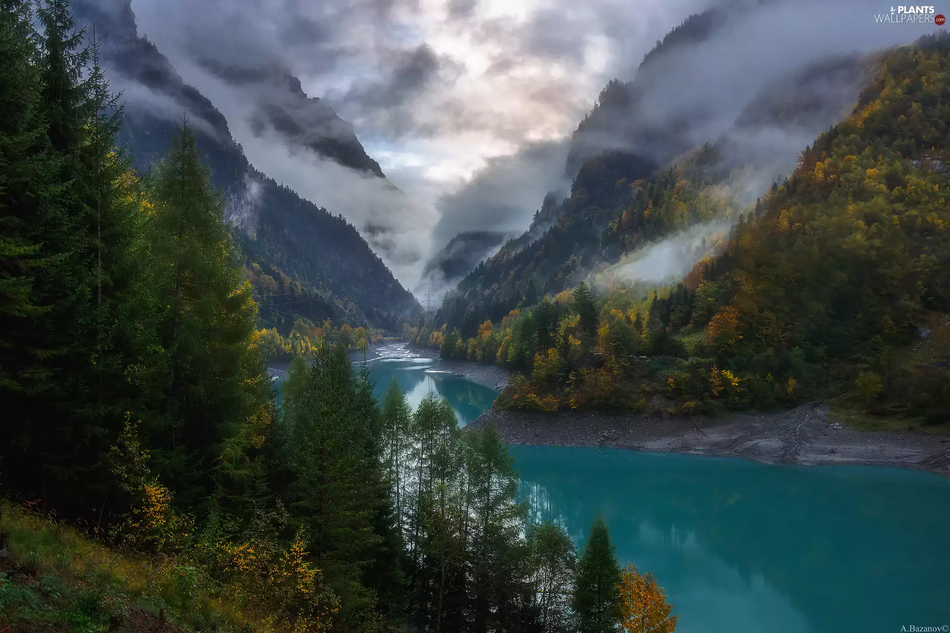 Swiss Alps, Fog, autumn, River, viewes, Mountains, Switzerland, trees