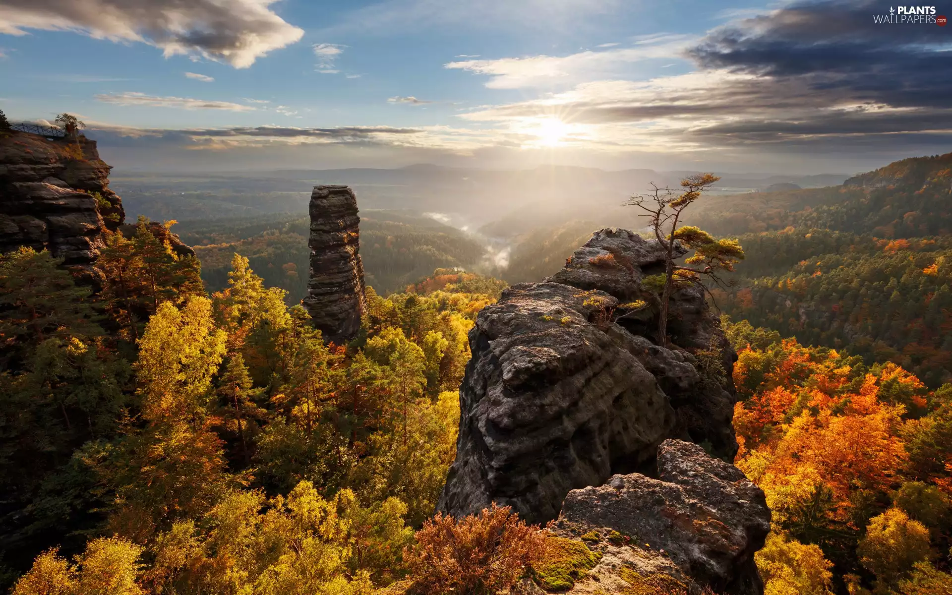 Děčínská vrchovina, Saxon Switzerland National Park, trees, viewes, autumn, Germany, rocks, sun, woods