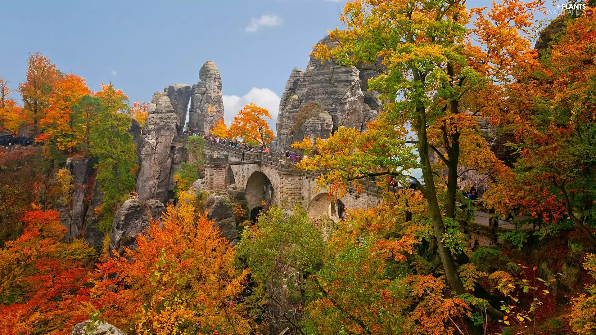 rocks, autumn, bridge, trees, Bastei, Saxon Switzerland National Park, Germany, viewes
