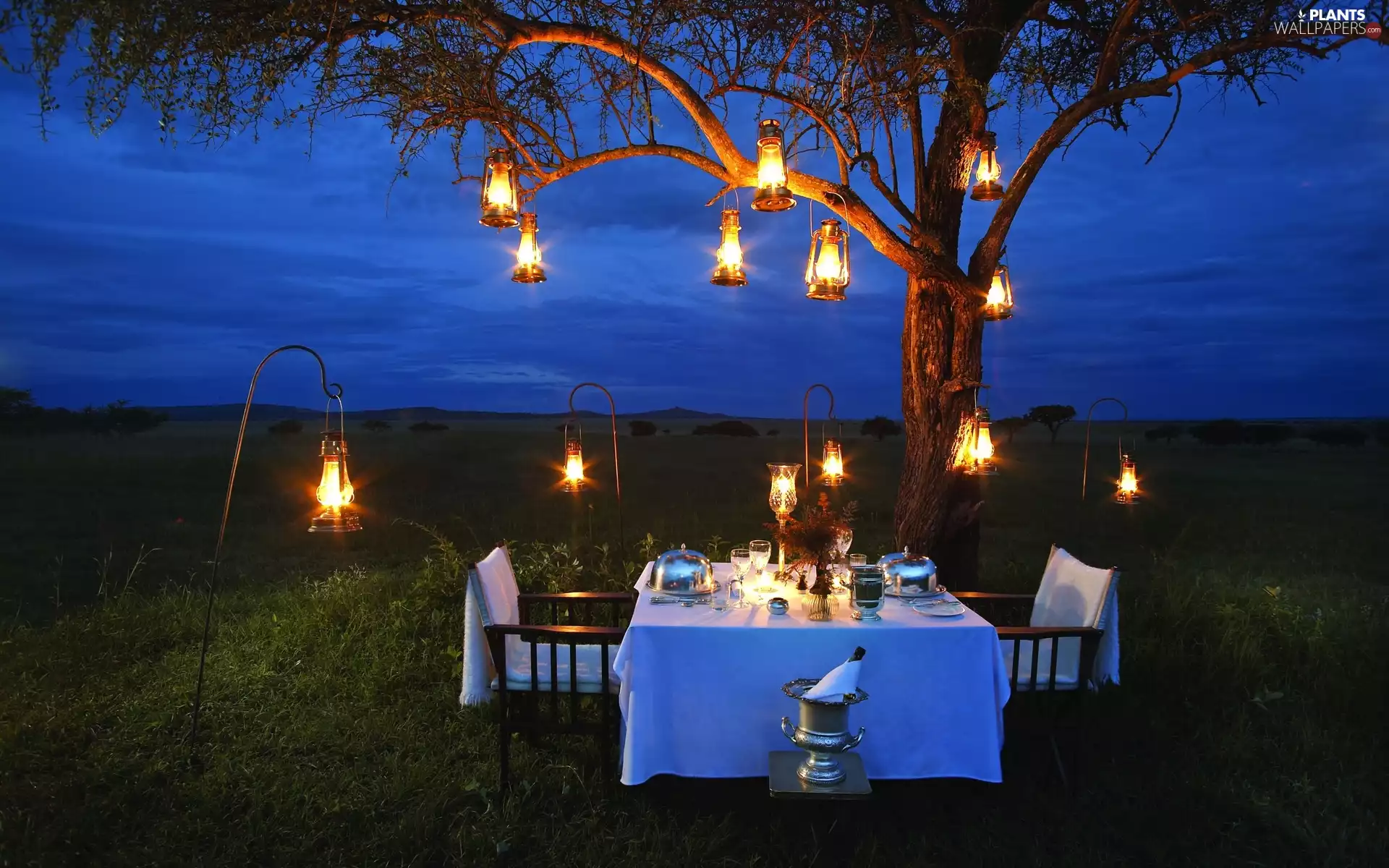 Lanterns, evening, dinner, Table, humor, trees, Sky