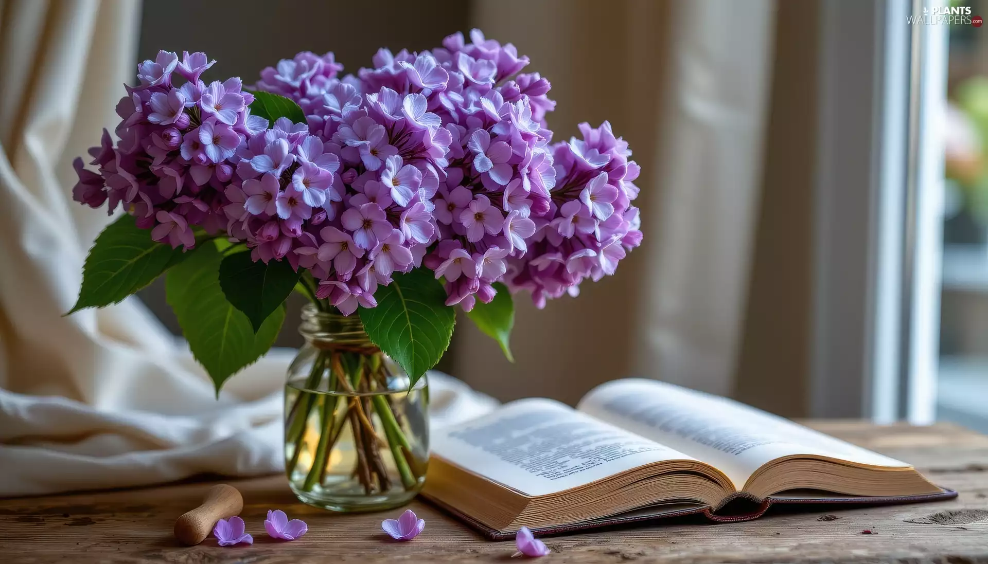 Book, Table, without, Syringa, Flowers