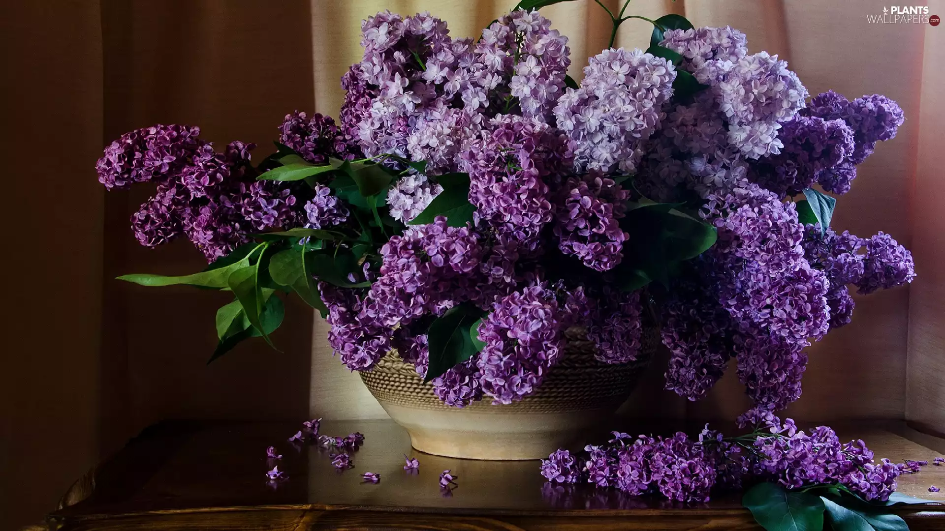 table, Violet, without