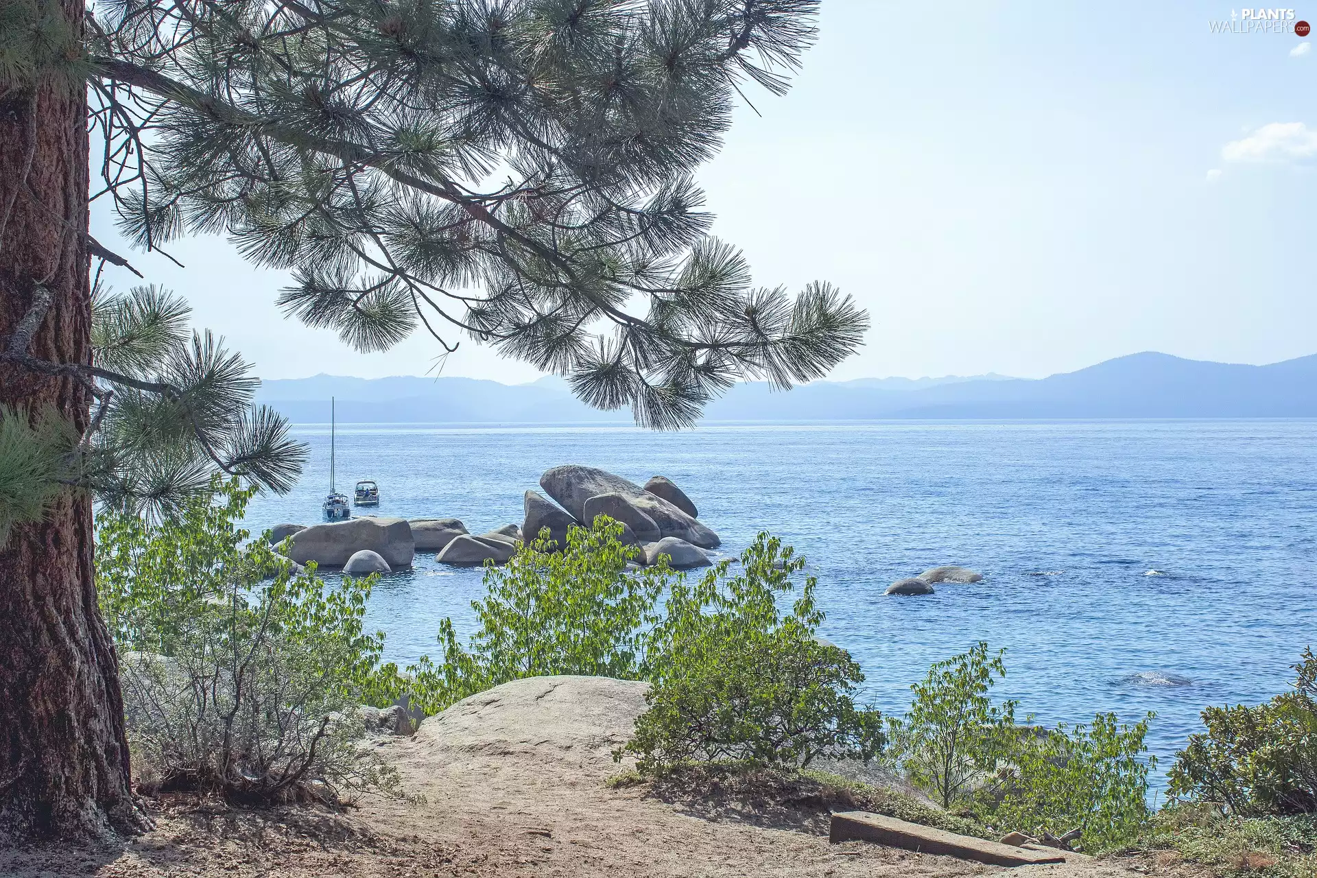 motorboat, The United States, pine, rocks, Lake Tahoe