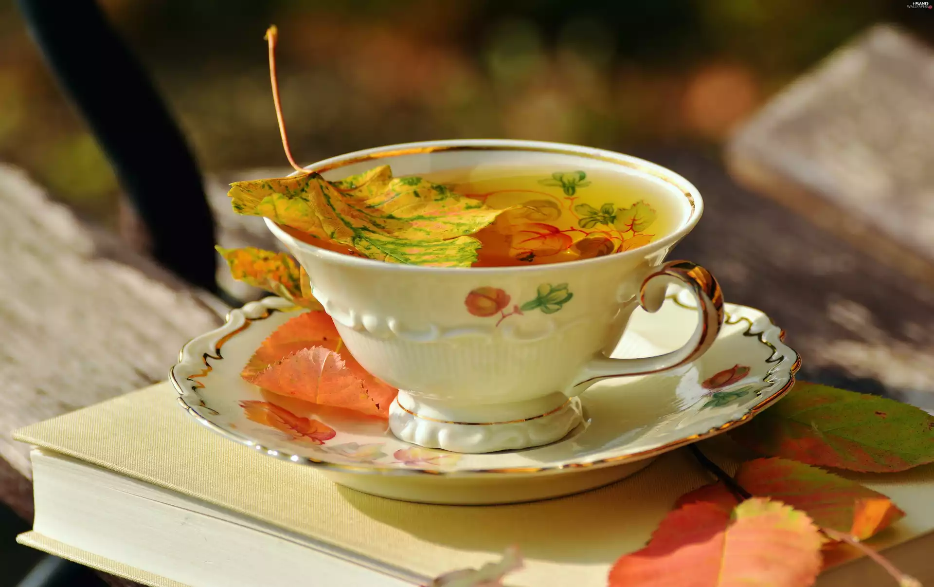 cup, Leaf, autumn, tea