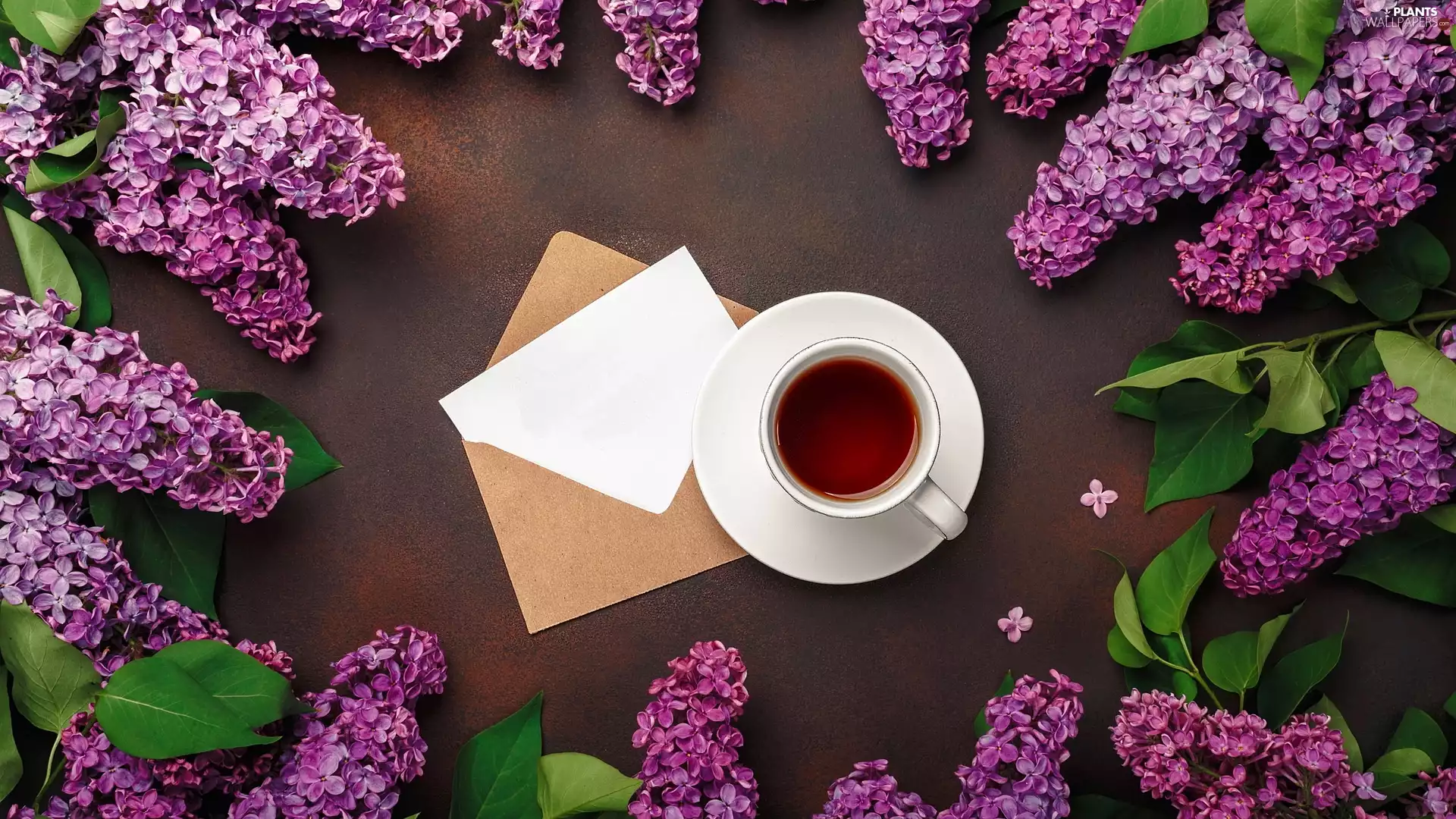 cup, tea, without, Leaf, Twigs