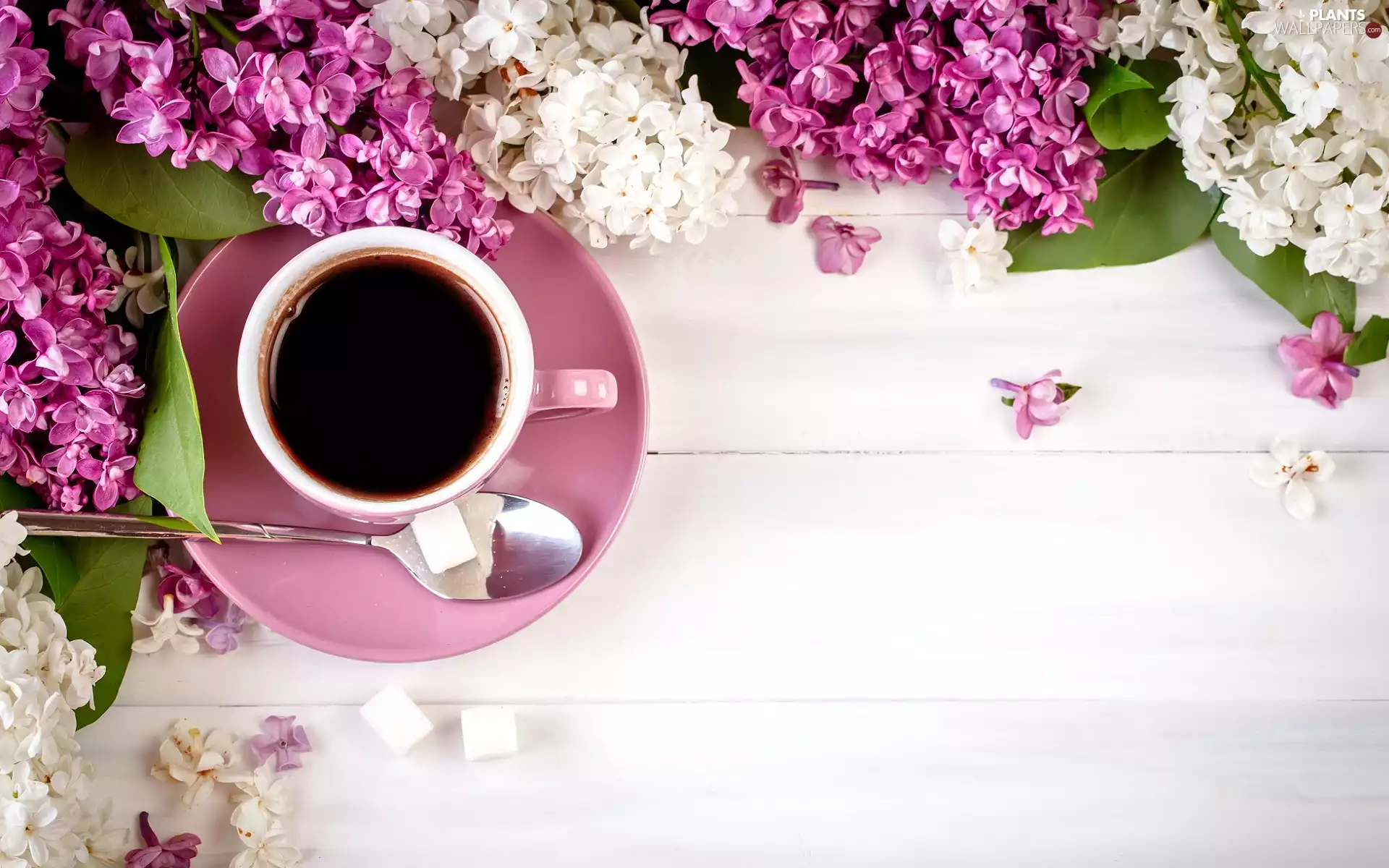 Pink, cup, sugar, coffee, knuckle, without, Flowers, teaspoon
