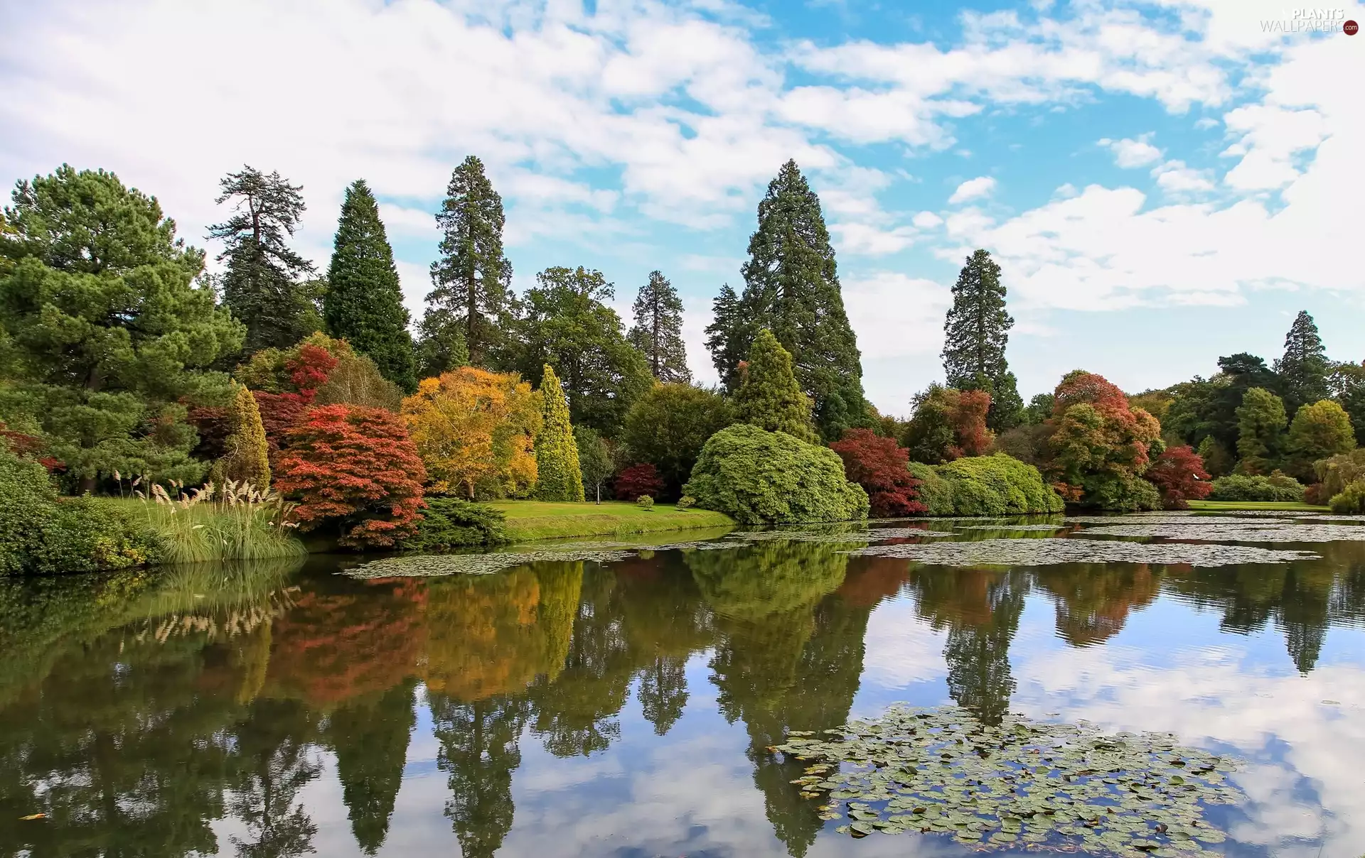 trees, autumn, lake, Test1, viewes, Park