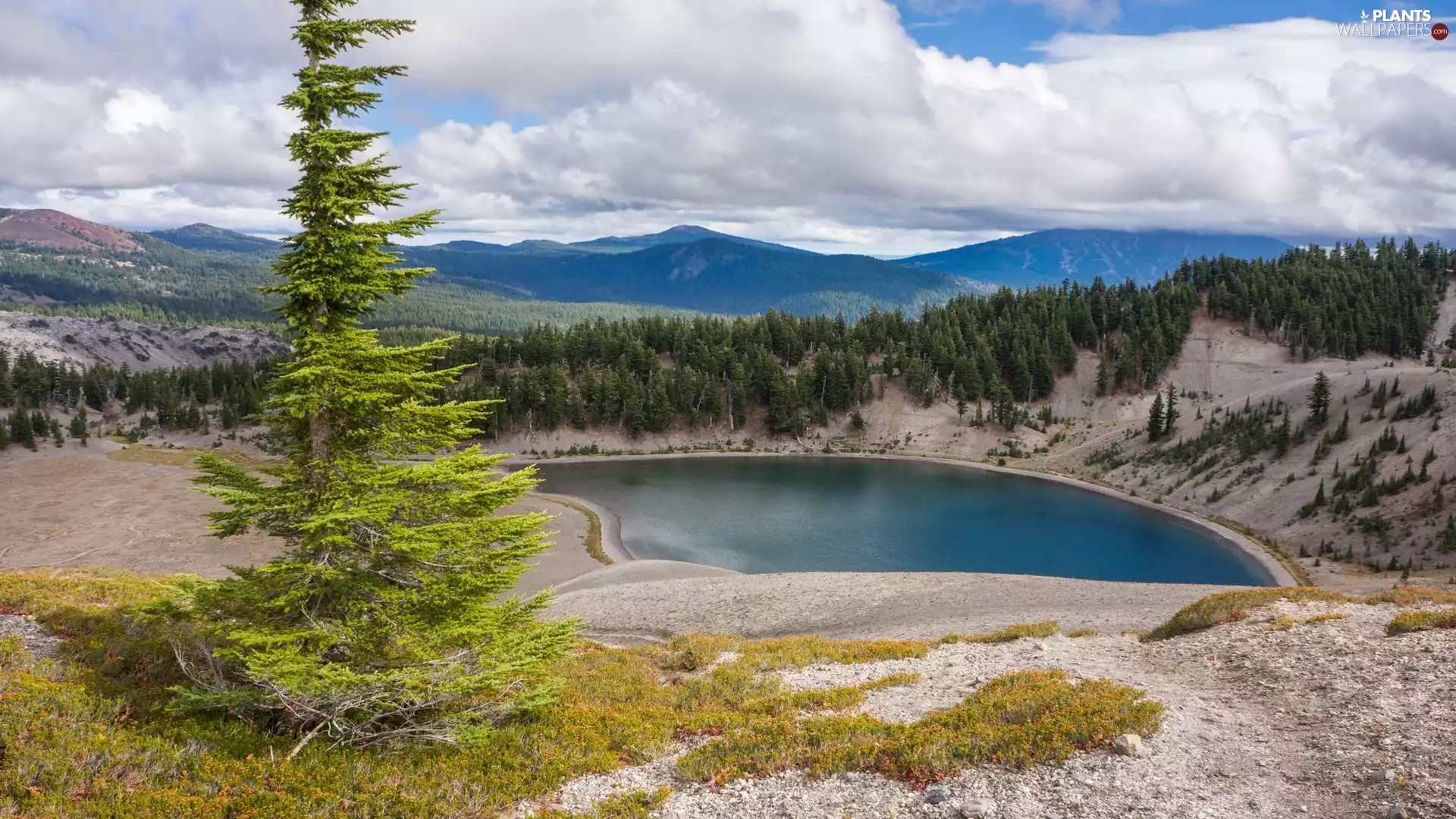 trees, The Hills, Mountains, lake