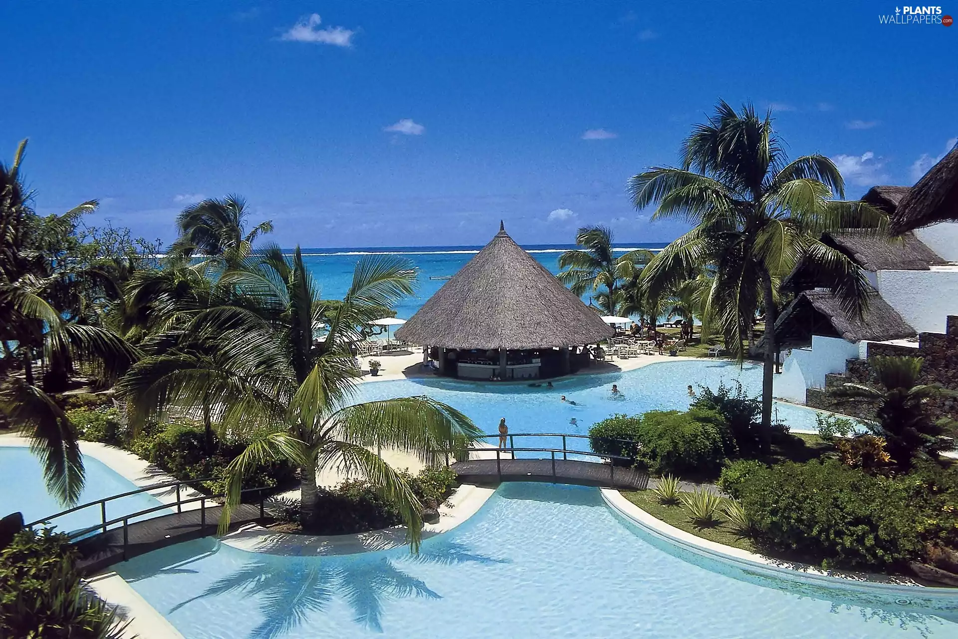 sea, The hotel, Palms, complex