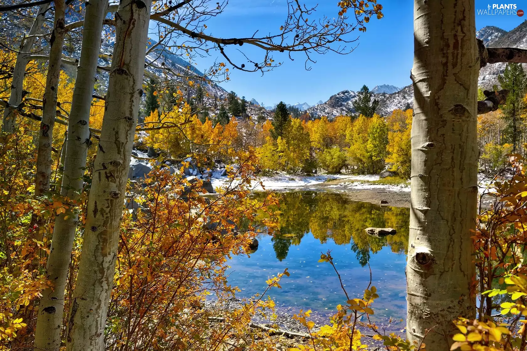 Yosemite National Park, The United States, Mountains, Trees Lake, lake, State of California
