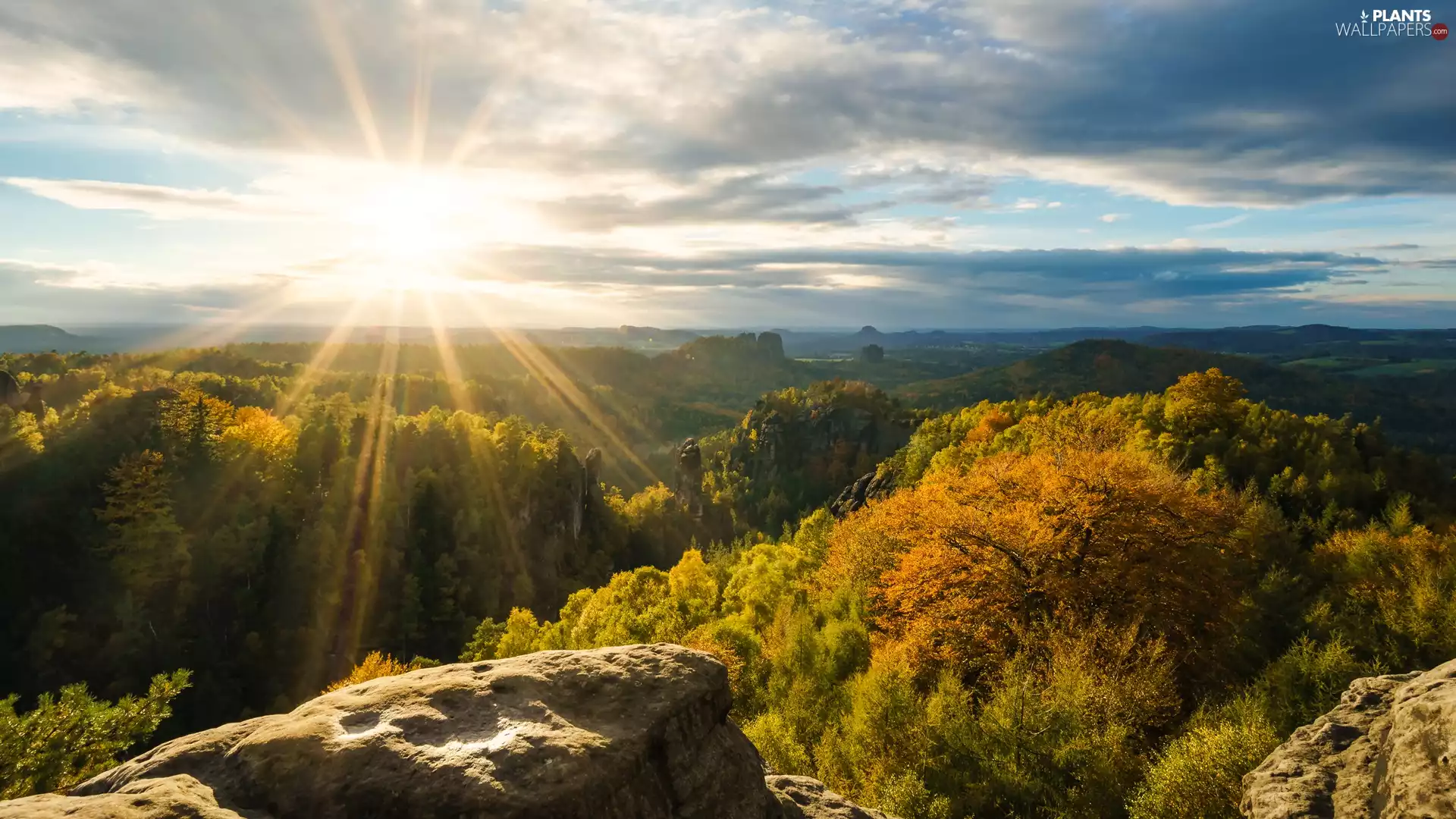 Děčínská vrchovina, trees, clouds, viewes, rays of the Sun, Saxon Switzerland National Park, Germany, rocks