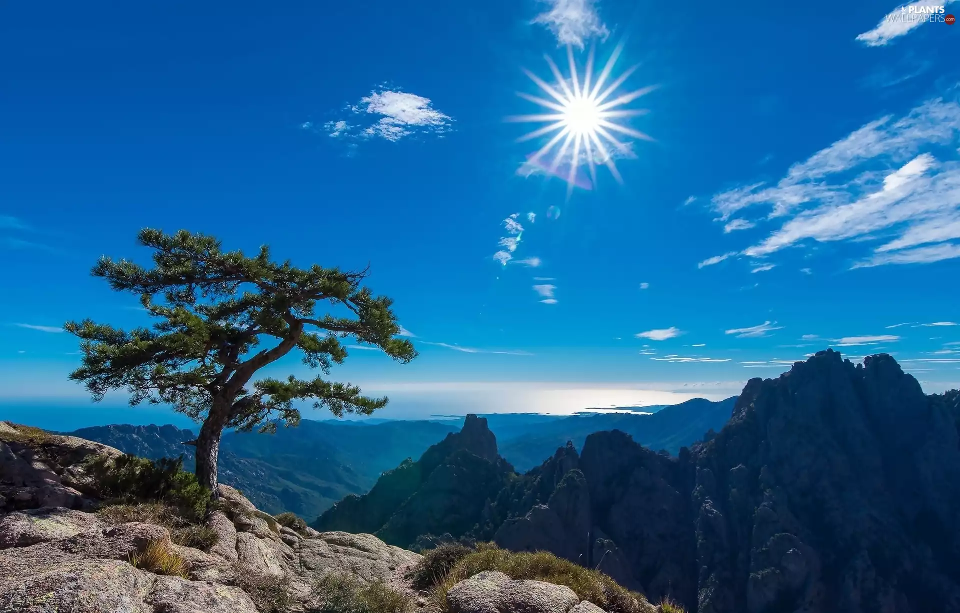 Mountains, rays of the Sun, trees, rocks