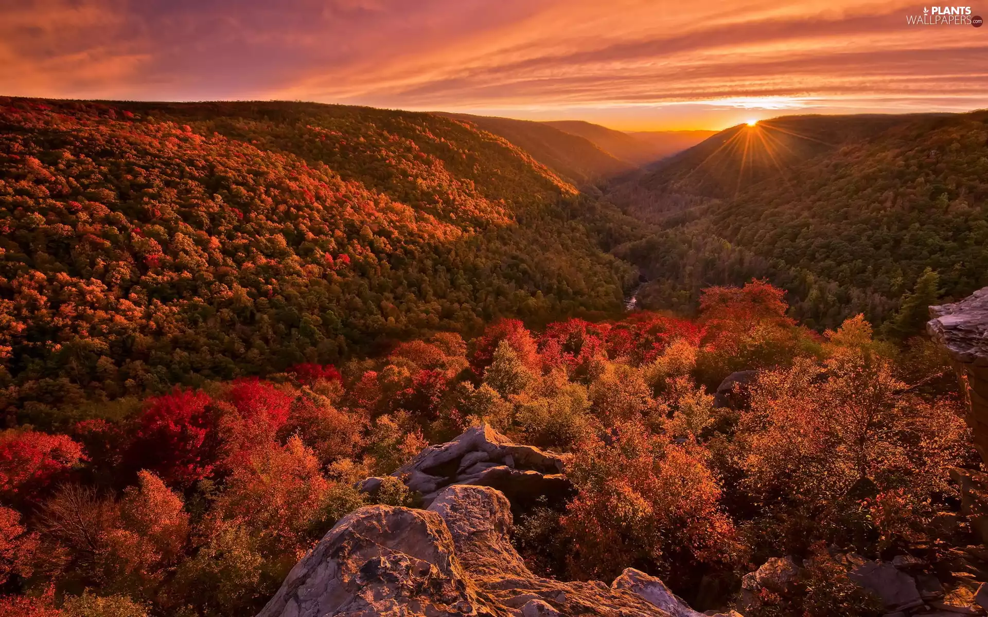 West Virginia, The United States, Blackwater Falls State Park, autumn, rocks, rays of the Sun, viewes, The Hills, trees