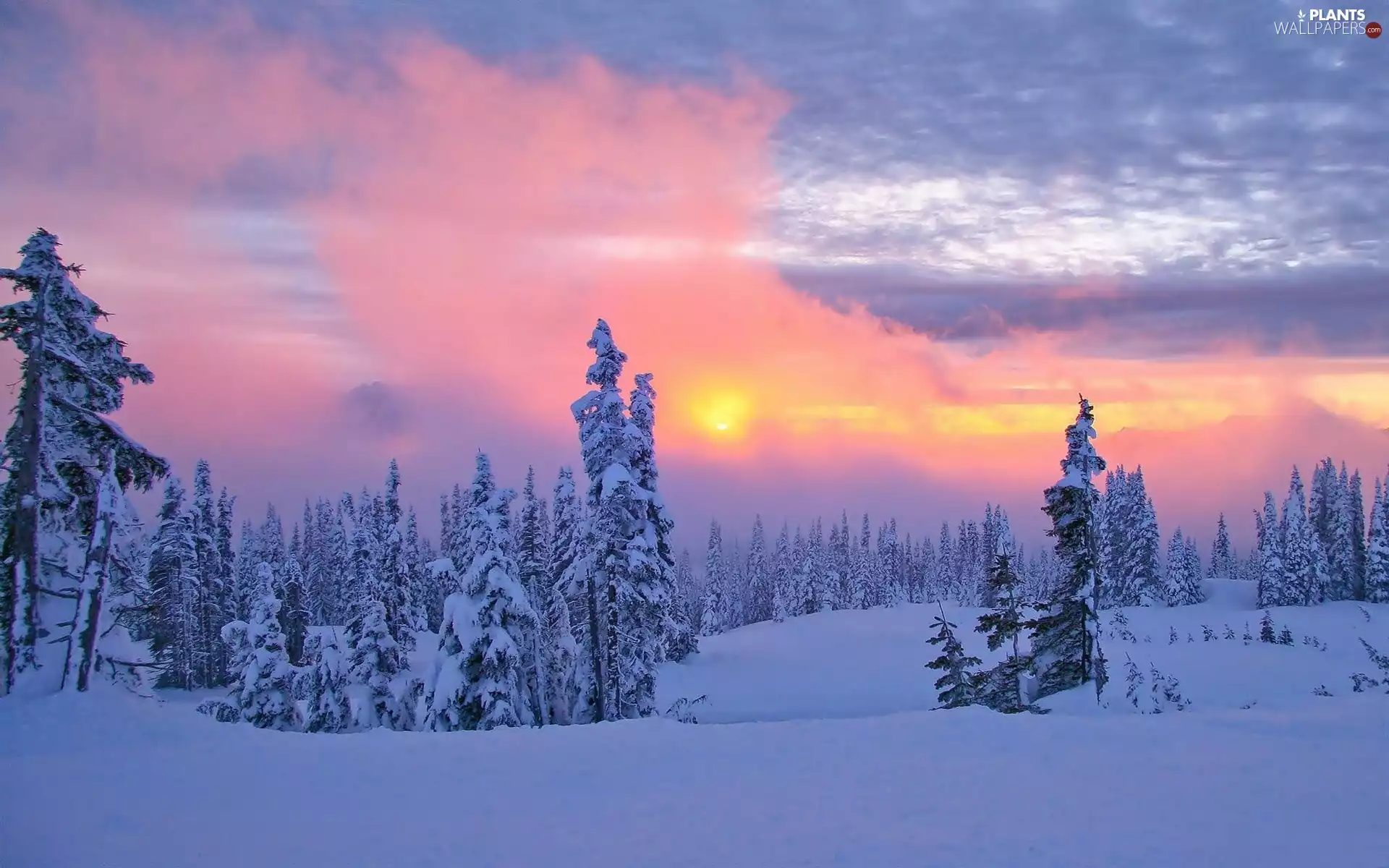 winter, The setting, sun, landscape