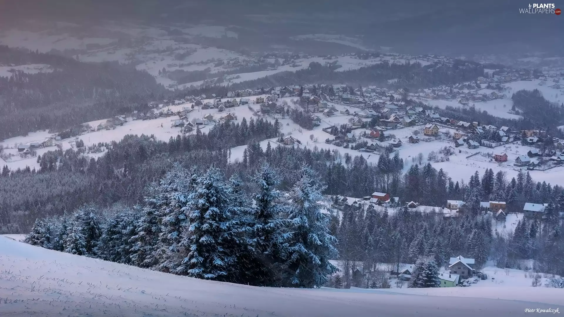 trees, winter, snow, The Hills, viewes, Houses