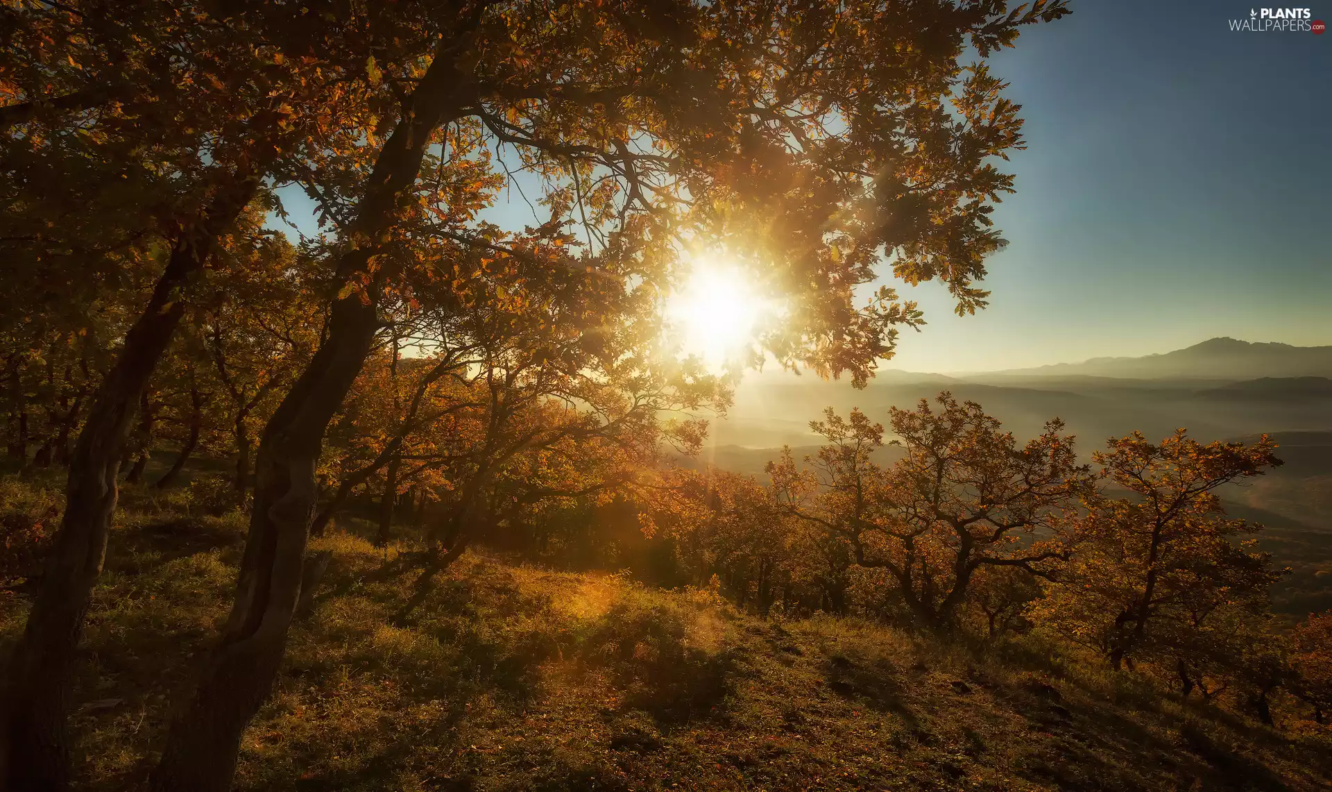 The Hills, autumn, viewes, rays of the Sun, trees