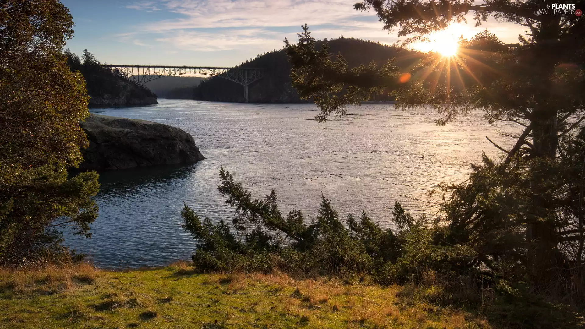 The Hills, River, viewes, rays of the Sun, trees, bridge