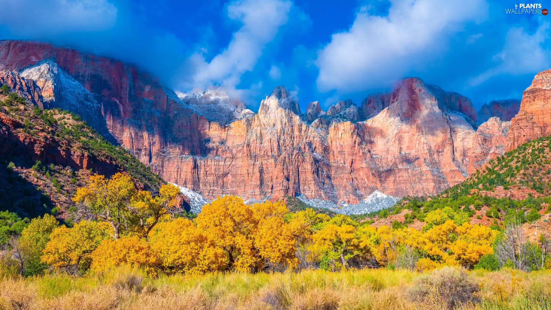 Mountains, Zion National Park, trees, viewes, Utah State, The United States, autumn, clouds, rocks