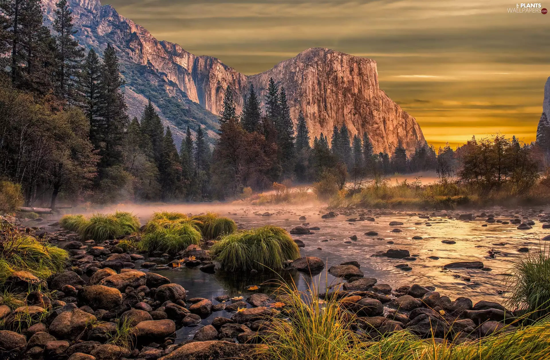 Stones, Mountains, trees, Plants, Fog, The United States, California, Merced River, El Capitan Peak, Yosemite National Park, viewes