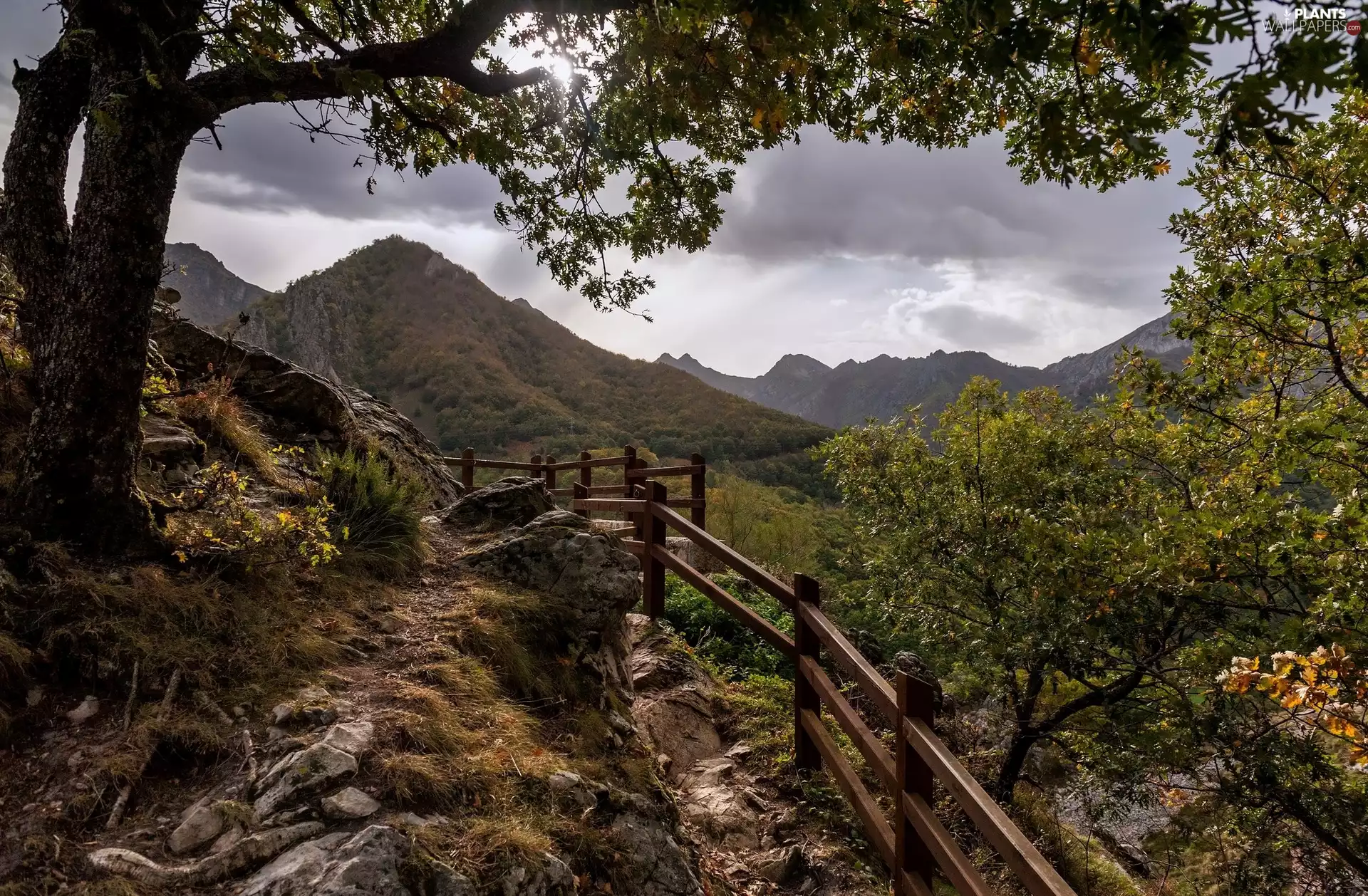 fence, Mountains, viewes, The Hills, trees