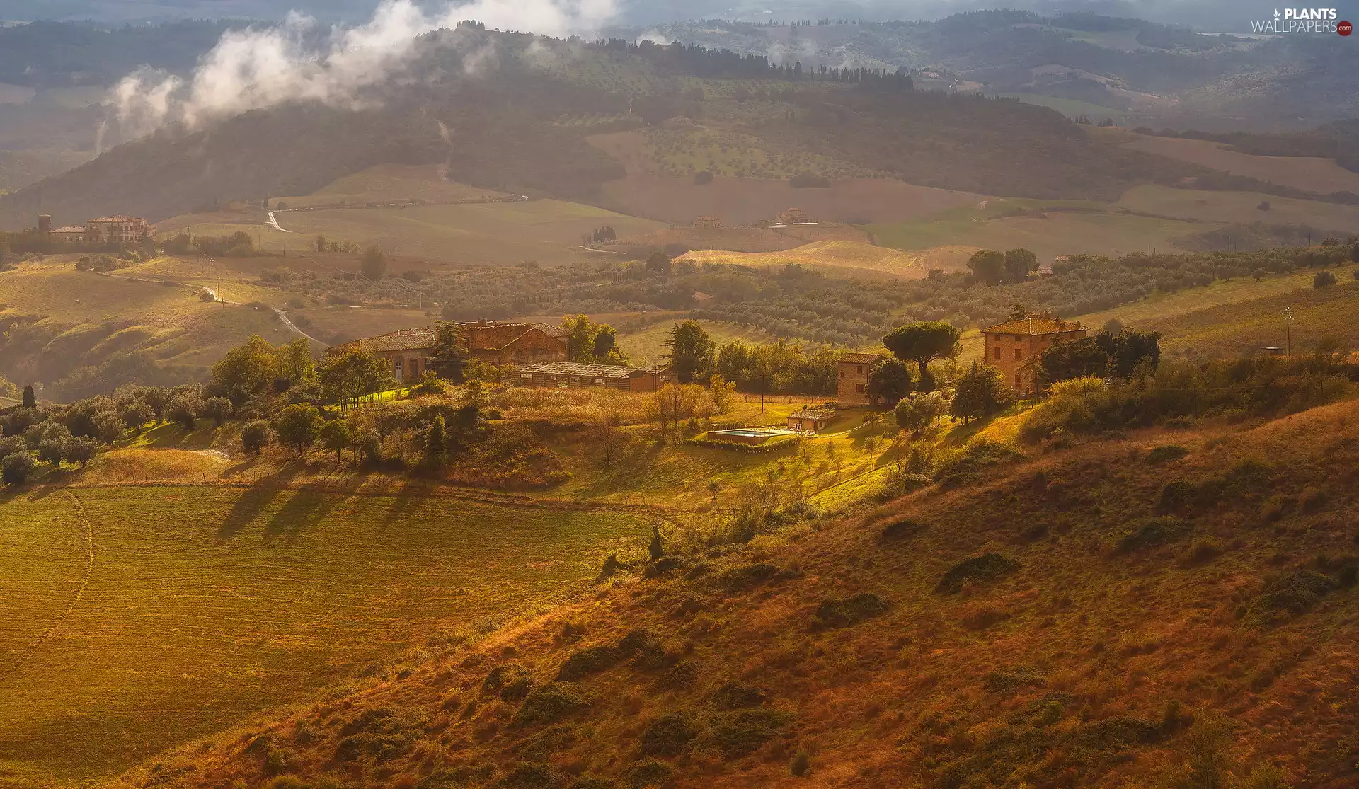 The Hills, Mountains, viewes, Houses, trees, Tuscany, Italy, Fog