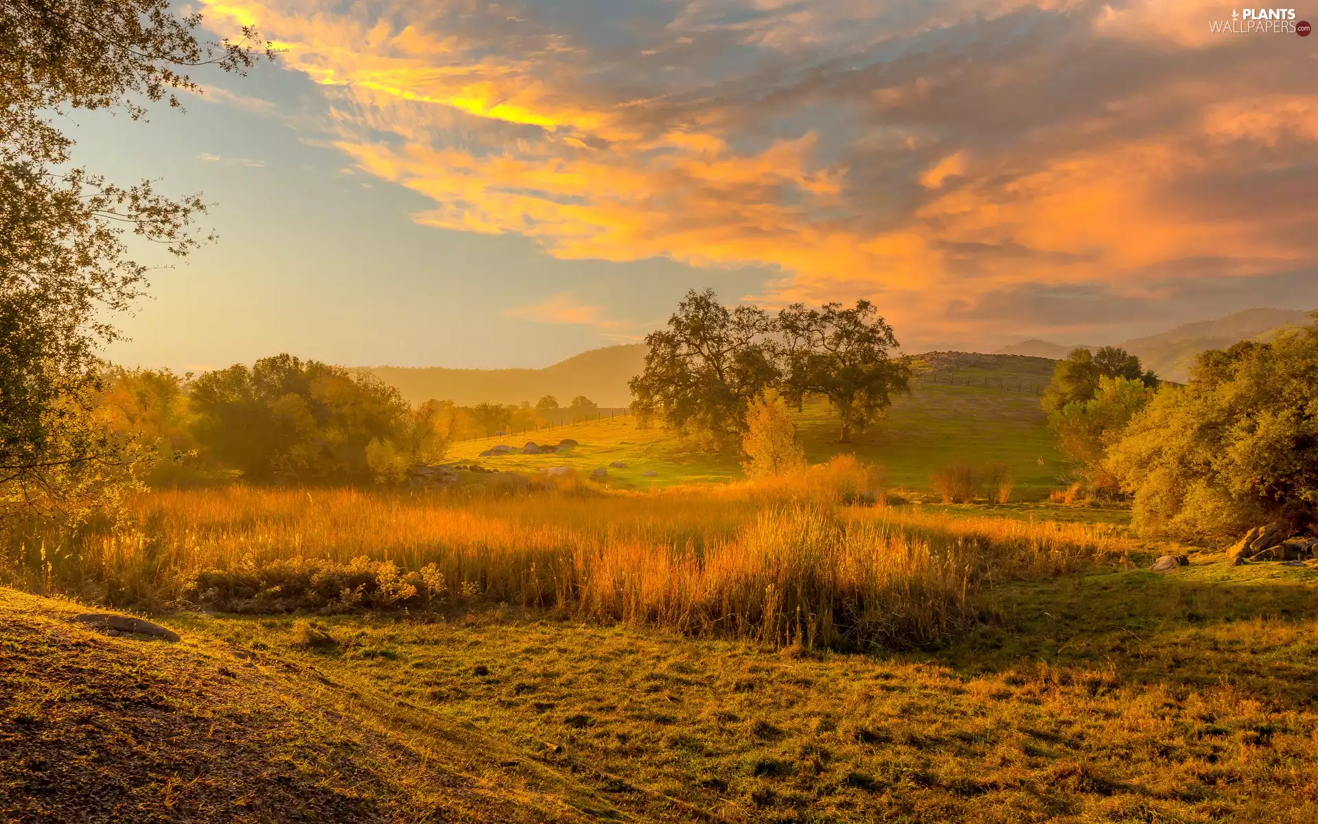 clouds, medows, viewes, The Hills, trees, autumn
