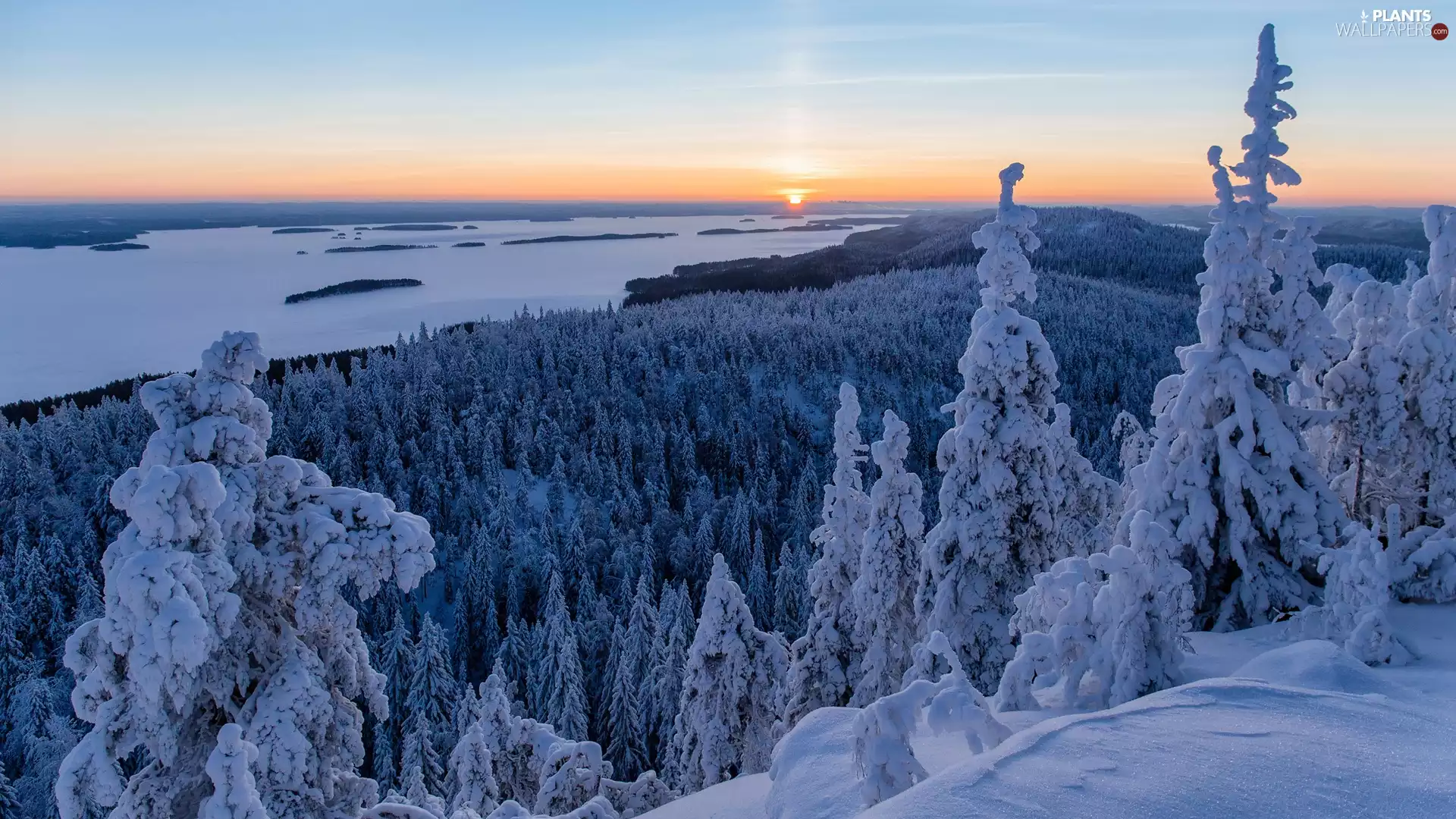 Lieksa, Finland, winter, Lake Pielinen, The Hills, Great Sunsets, Spruces, National Park of Koli, North Karelia, Snowy, forest