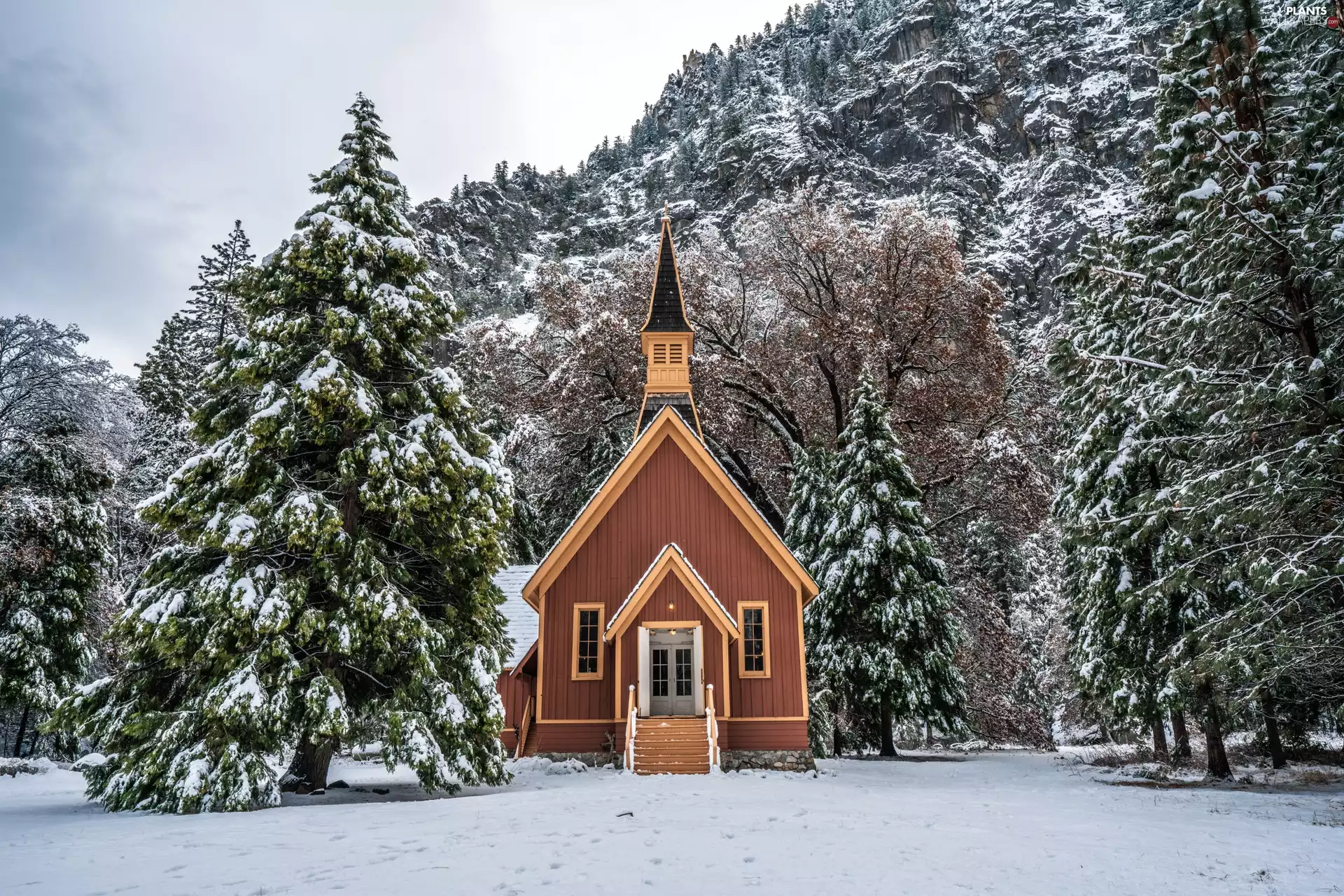 trees, winter, viewes, chapel, State of California, The United States, forest, Yosemite National Park, church