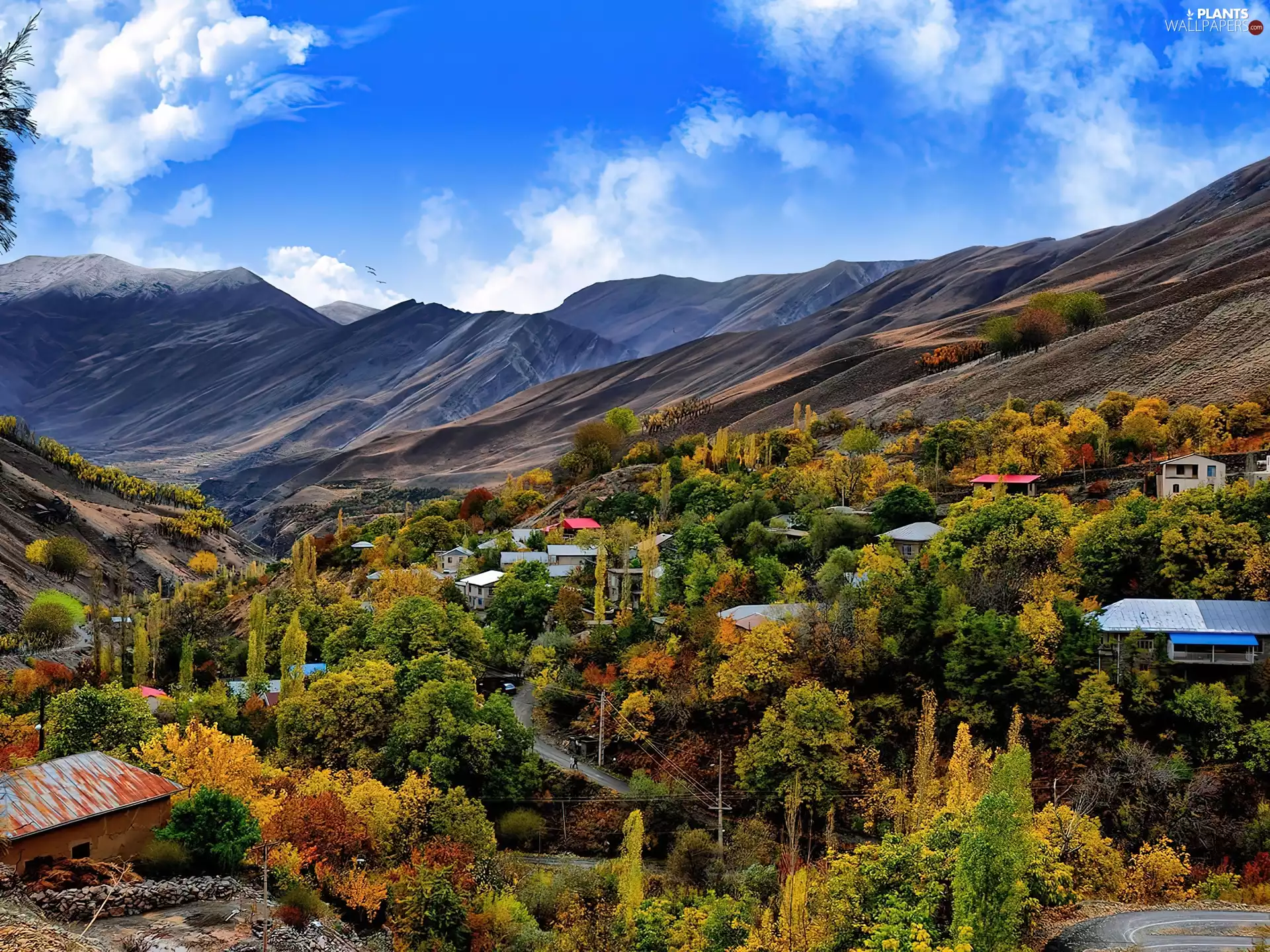Mountains, autumn, forest, Town