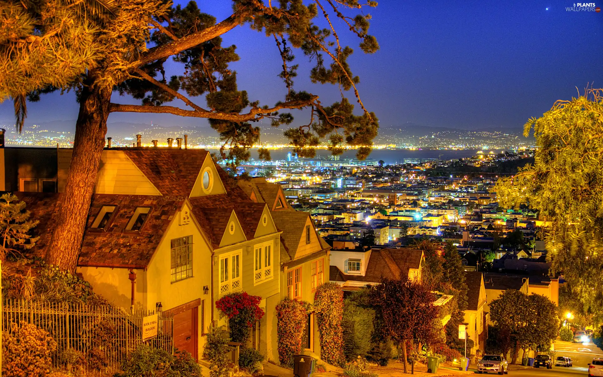 town, Night, Street, panorama, Houses