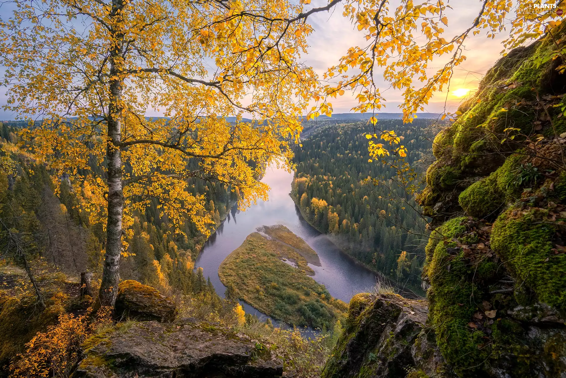 trees, autumn, birch-tree, River, viewes, Yellowed