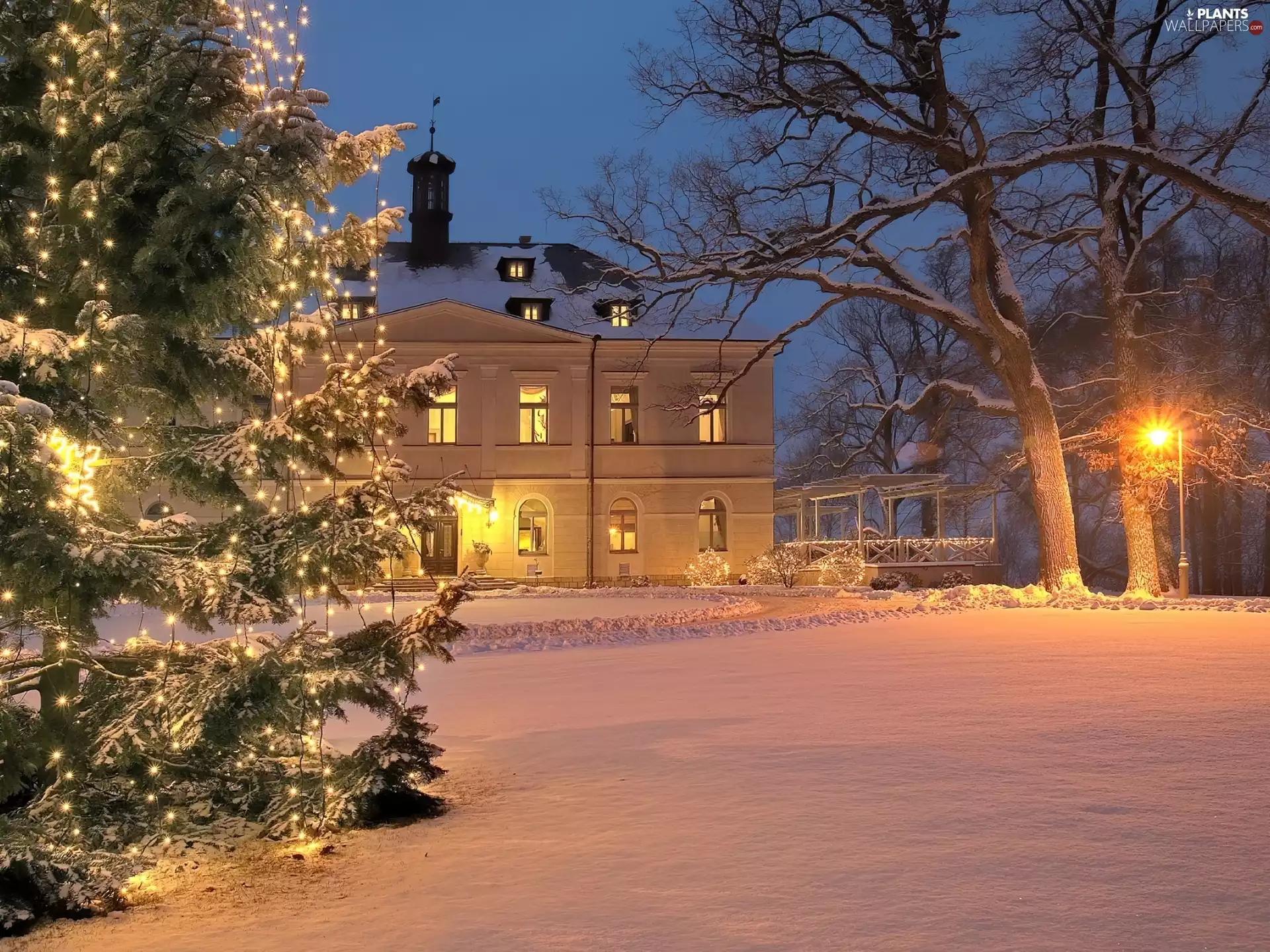 snow, birth, decorated, winter, God, house, christmas tree