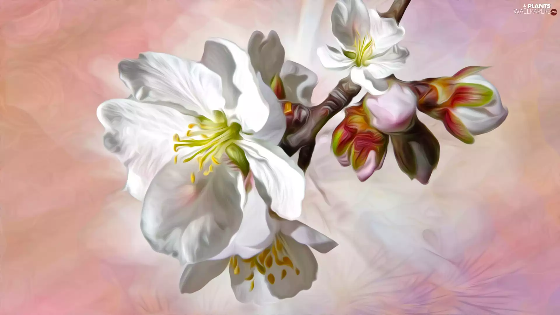 graphics, twig, Fruit Tree