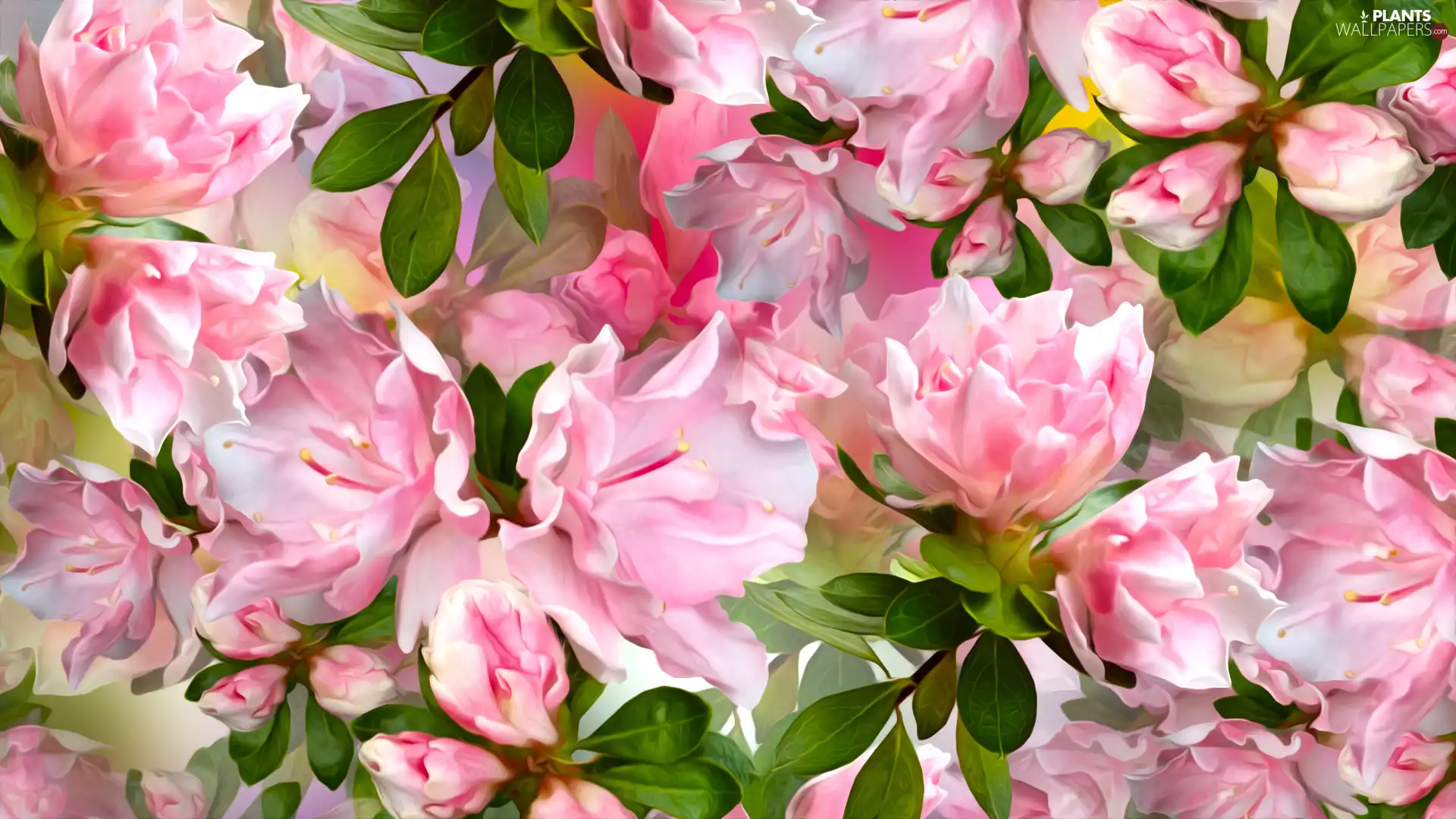 leaves, Flowers, Fruit Tree