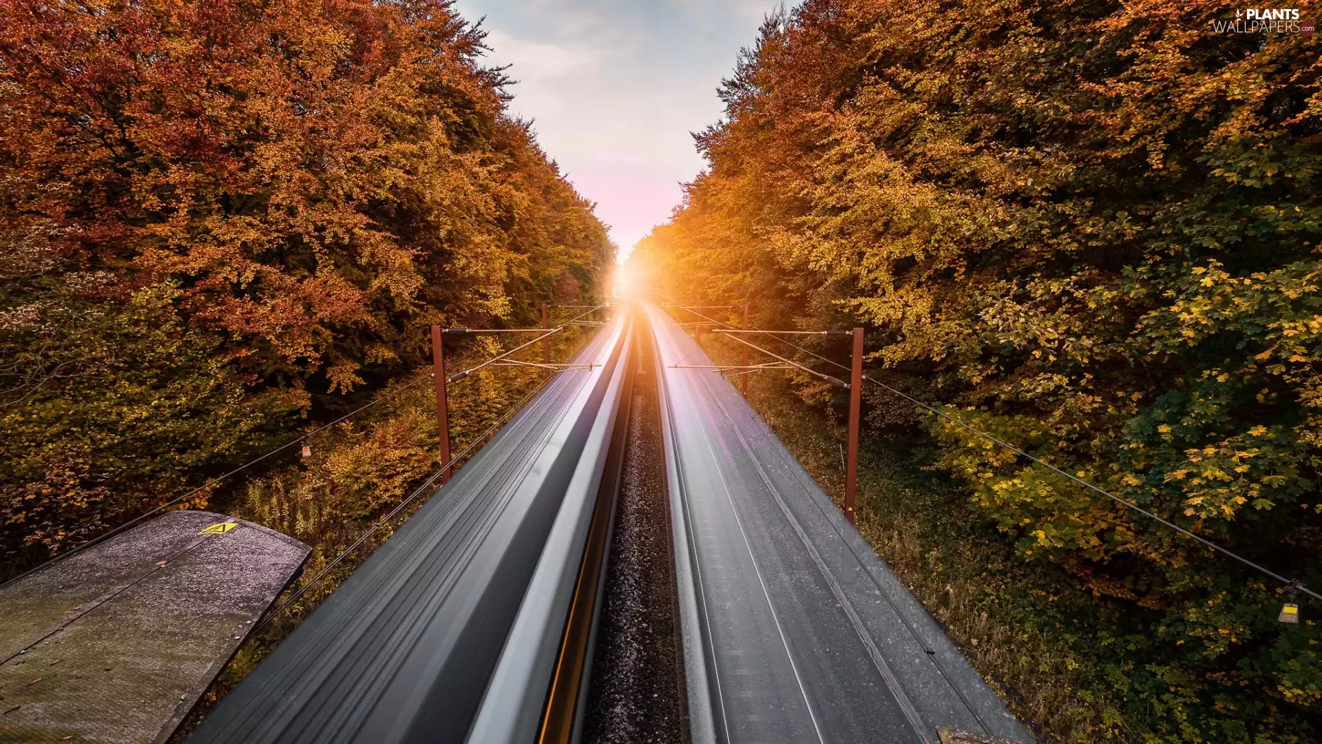 ##, viewes, sun, trees