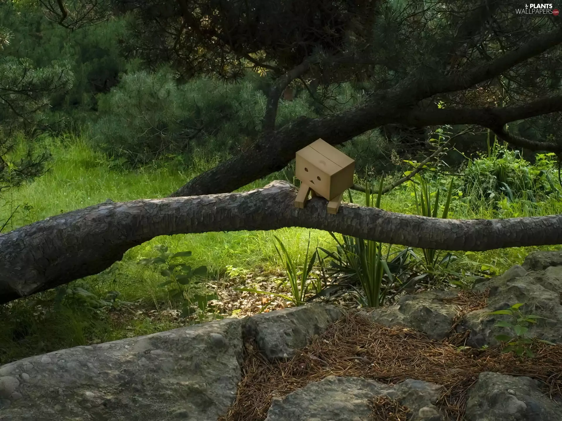 trees, cardboard, alien