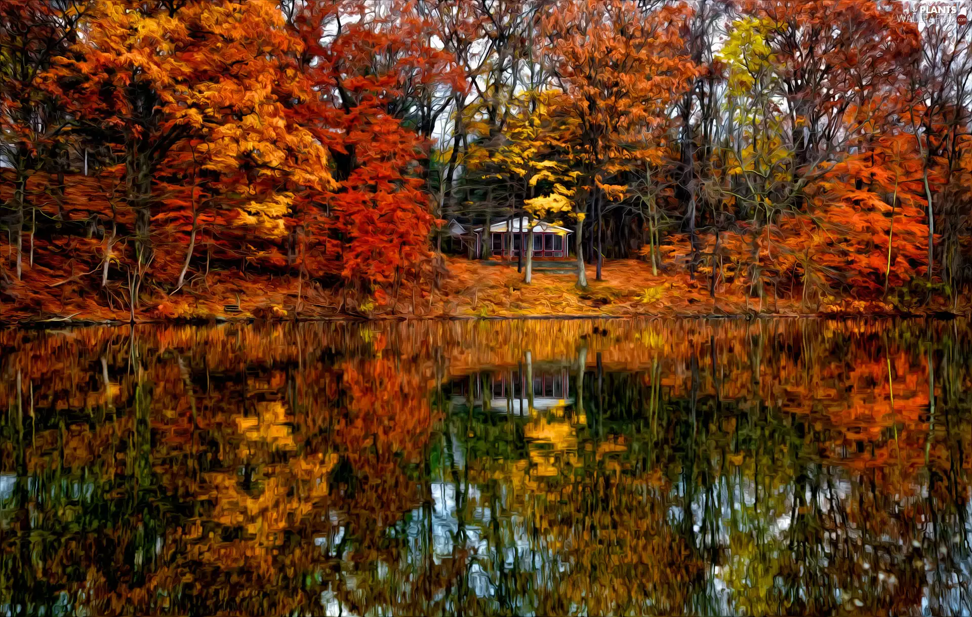 viewes, autumn, arbour, trees, graphics, lake, reflection