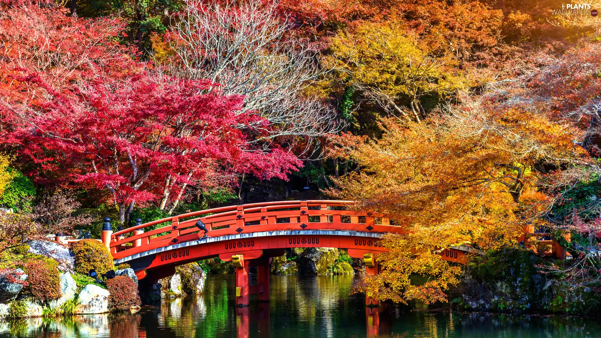 bridge, color, autumn, Autumn, viewes, Red, Park, trees