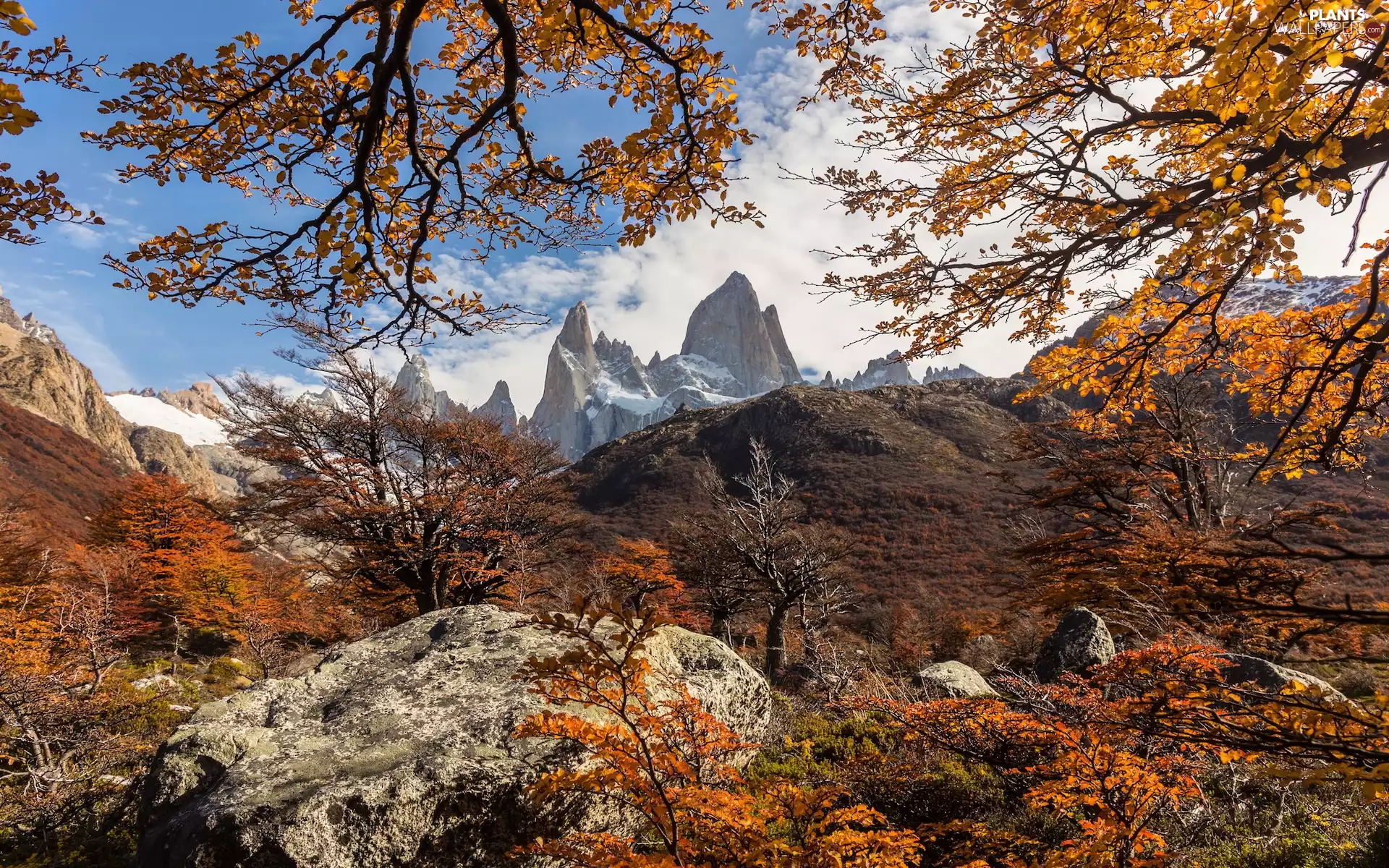 Andes Mountains, Fitz Roy Mountain, rocks, trees, autumn, Patagonia, Argentina, viewes