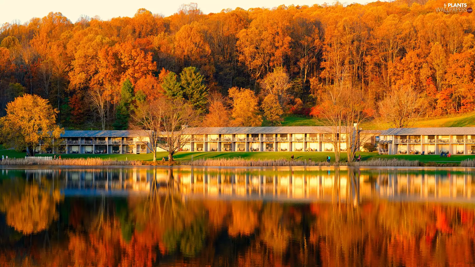 viewes, lake, autumn, trees, forest, house, reflection