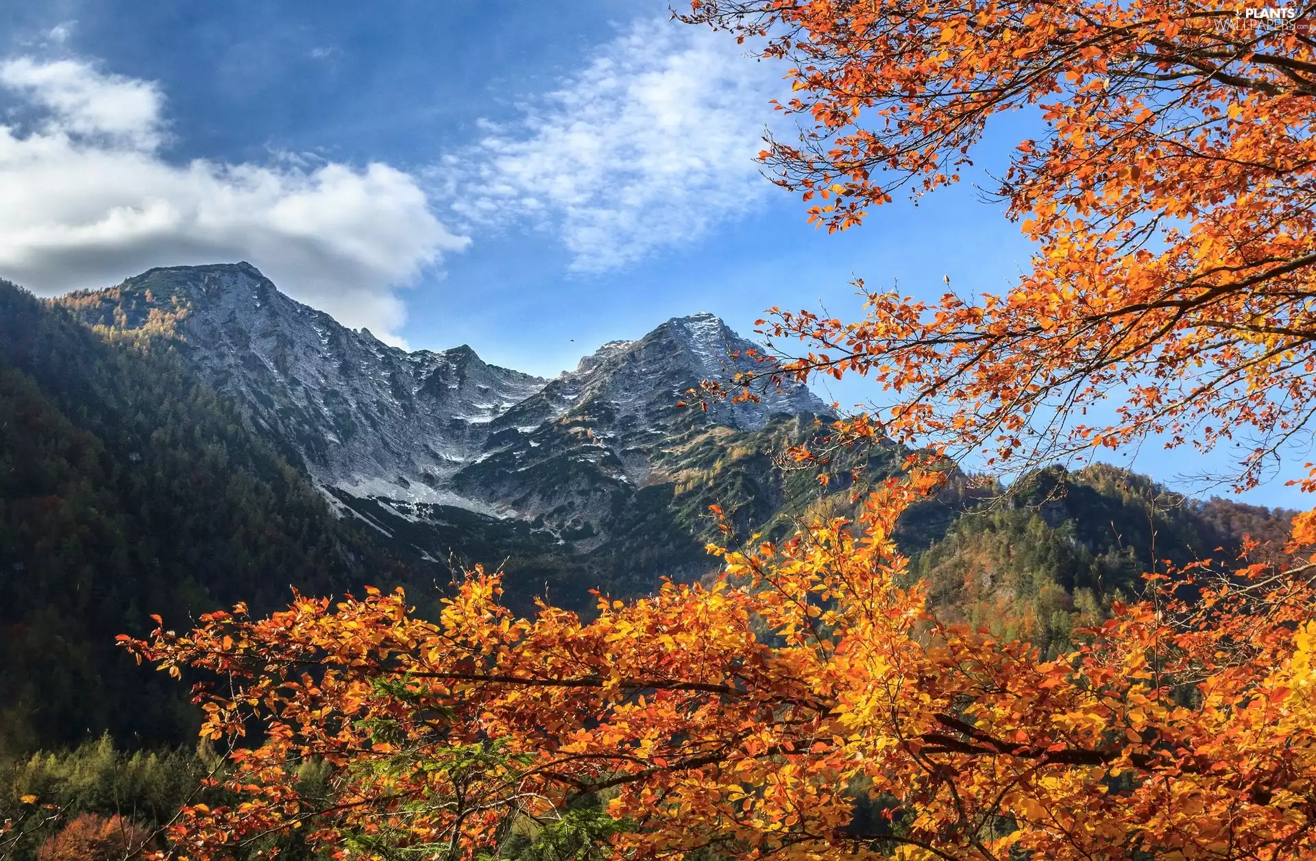 autumn, viewes, Mountains, trees